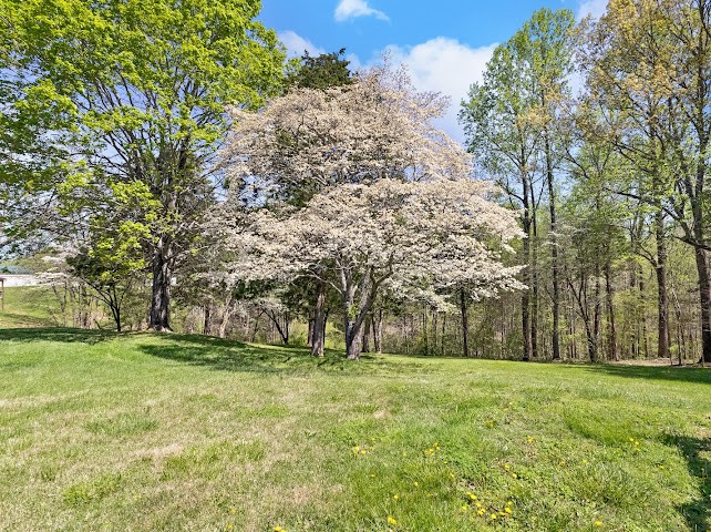 2355 Davidson Graveyard Rd Property Photo 37