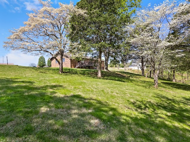 2355 Davidson Graveyard Rd Property Photo 38