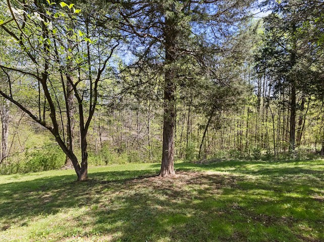 2355 Davidson Graveyard Rd Property Photo 41