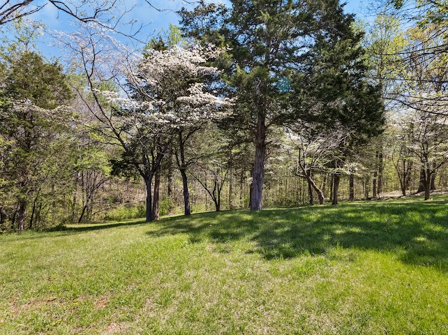 2355 Davidson Graveyard Rd Property Photo 44