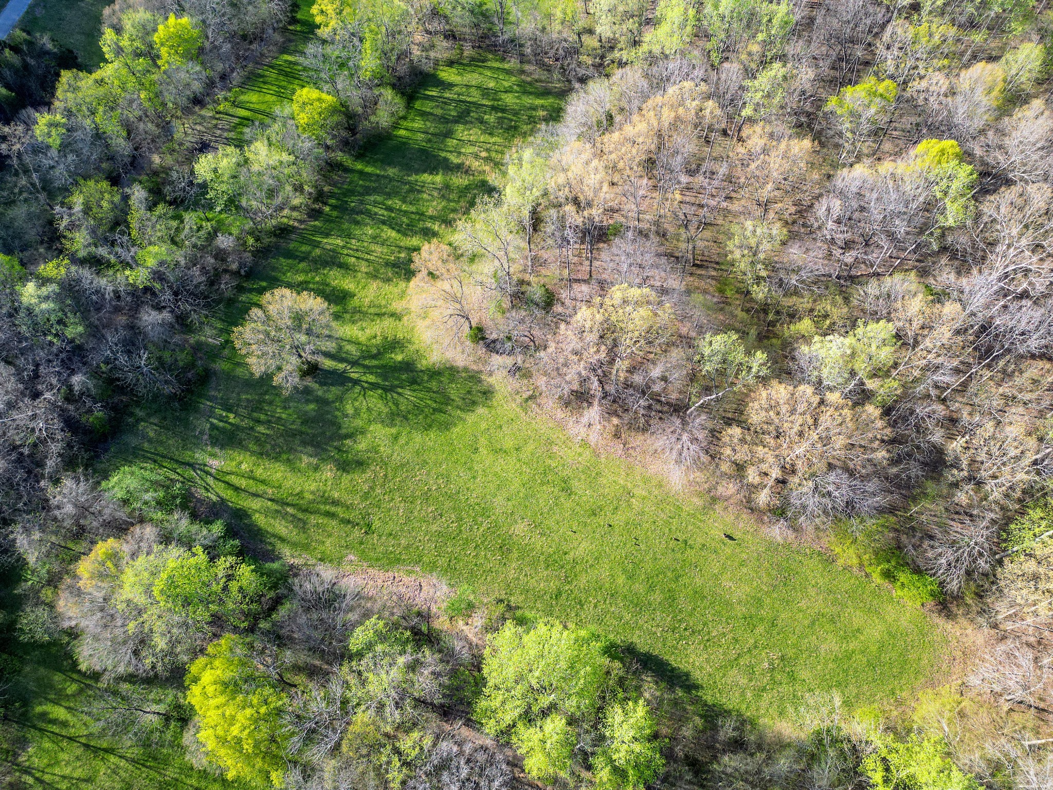 0 Rye Loop Property Photo