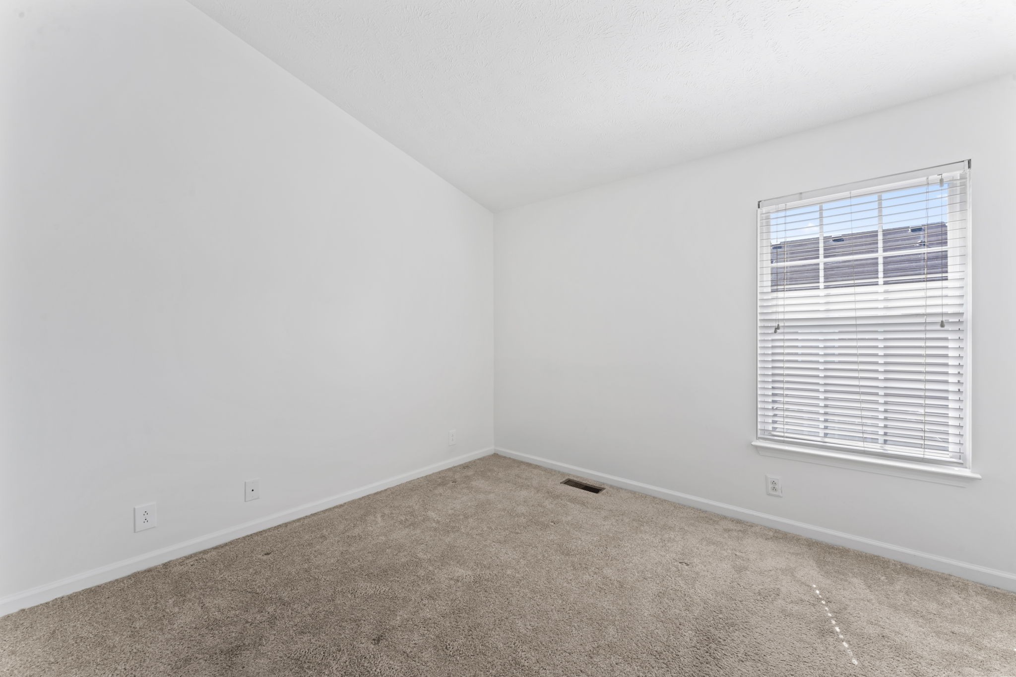 1303 Vermont Ct Property Photo 15