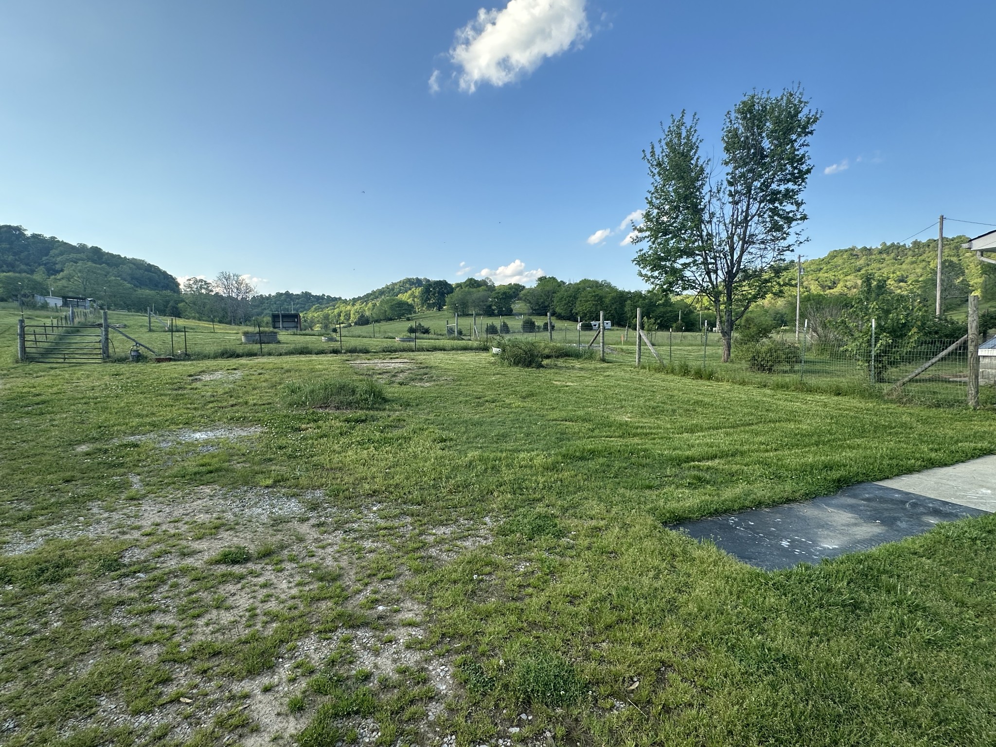 275 Reece Hollow Rd Property Photo 9