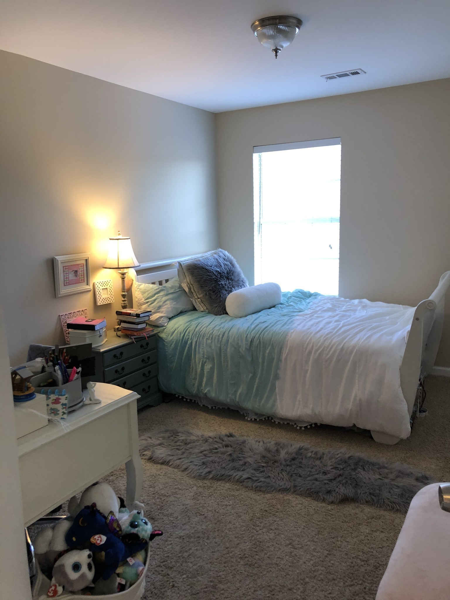 124 Watermill Trce Property Photo 18