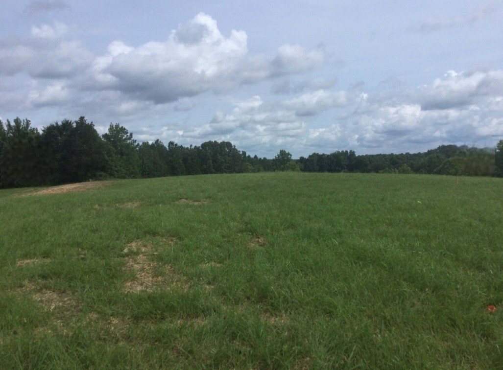 0 Young Ridge Rd Property Photo