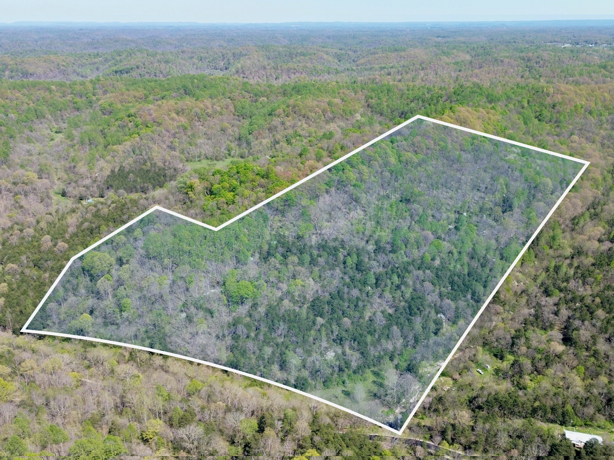 50 Acre Hunting Parcel Real Estate Listings Main Image