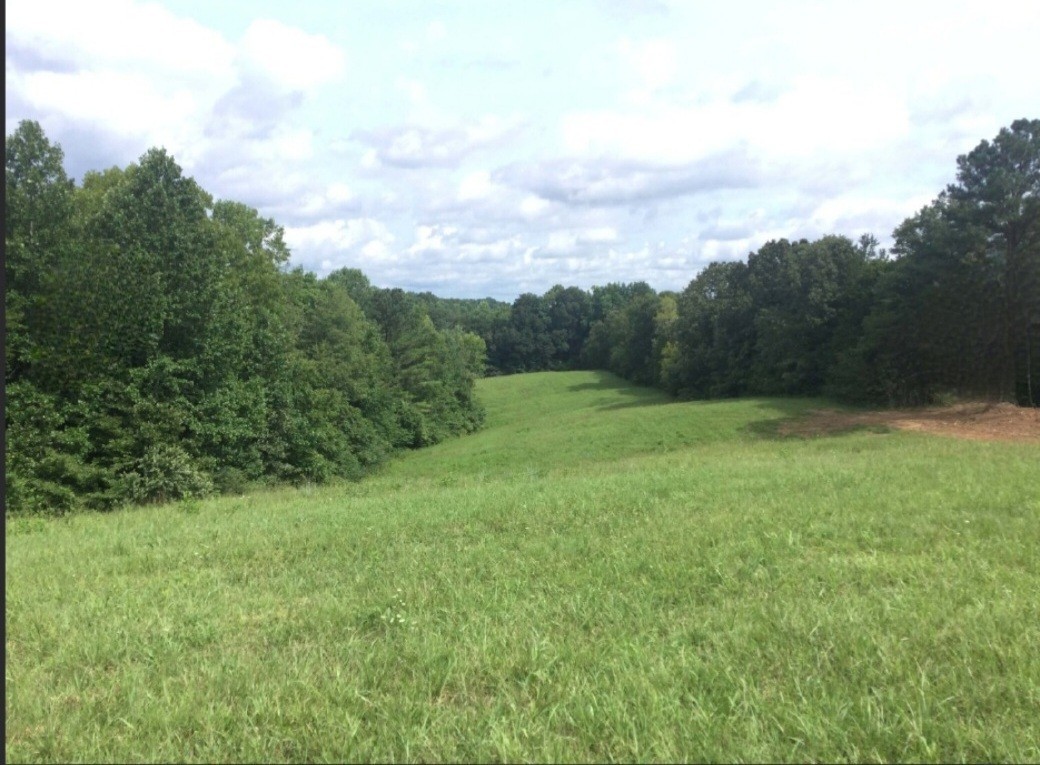 0 Young Ridge Rd Property Photo 1