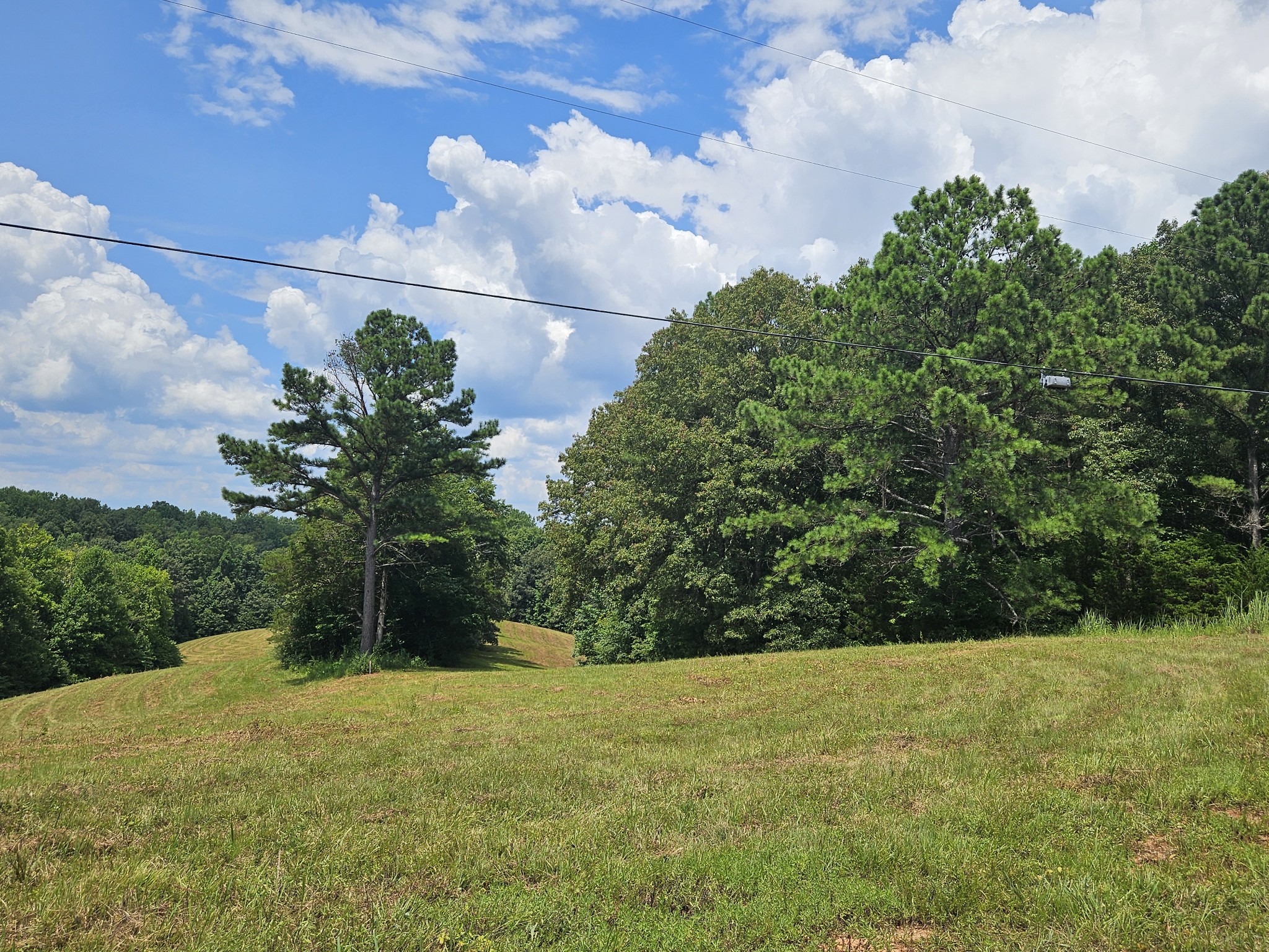 0 Young Ridge Rd Property Photo