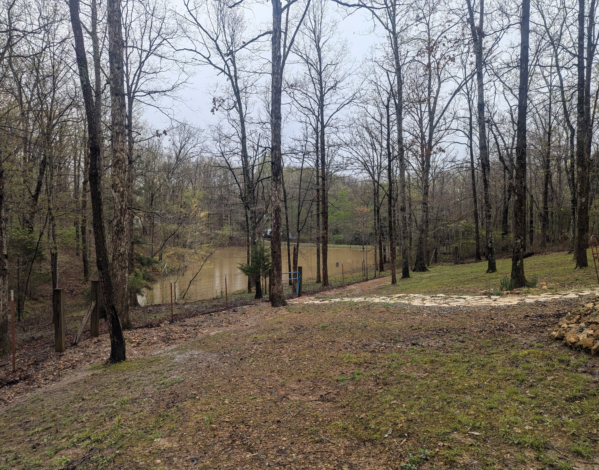 4303 Cantrell Dr Property Photo 6