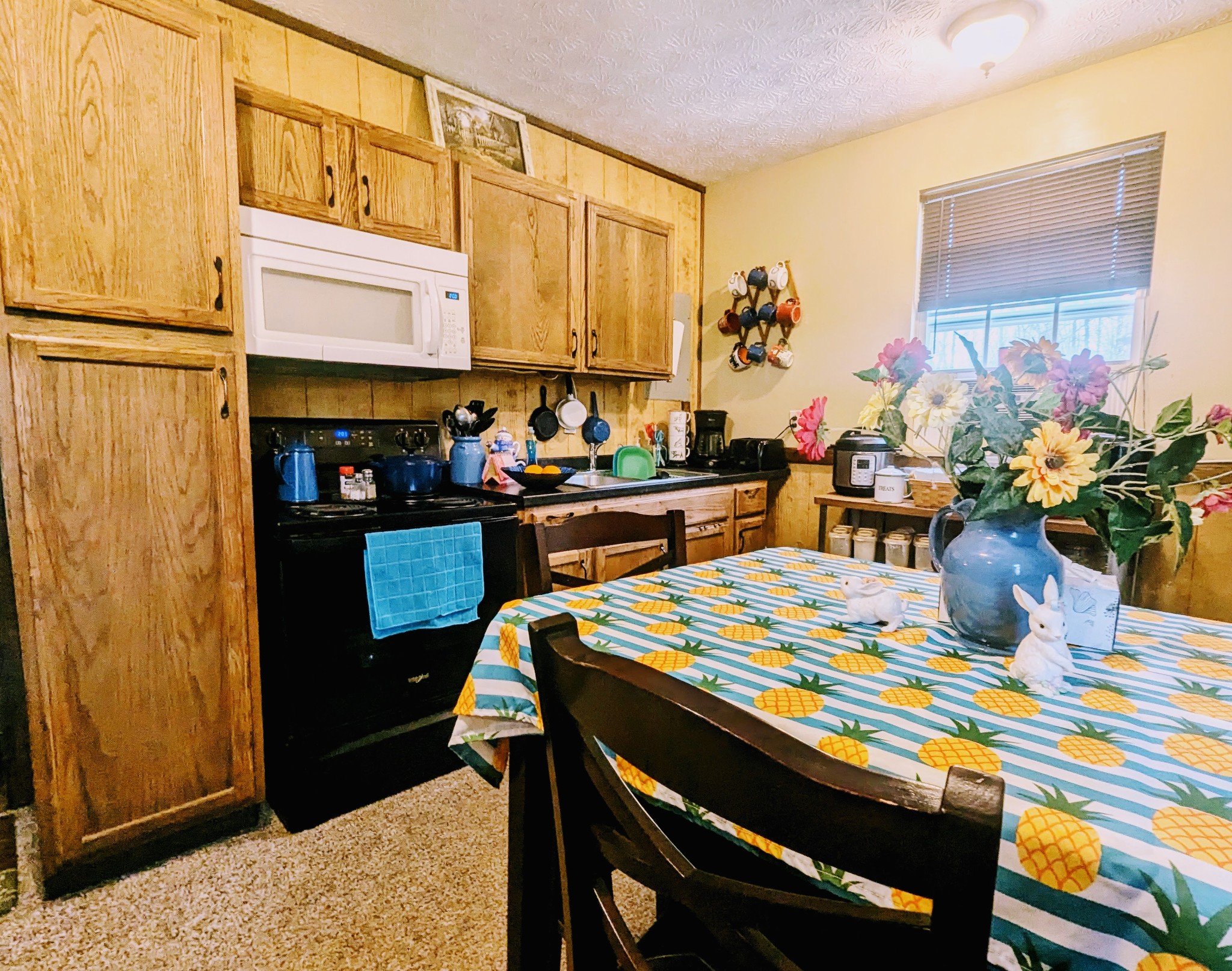 4303 Cantrell Dr Property Photo 14