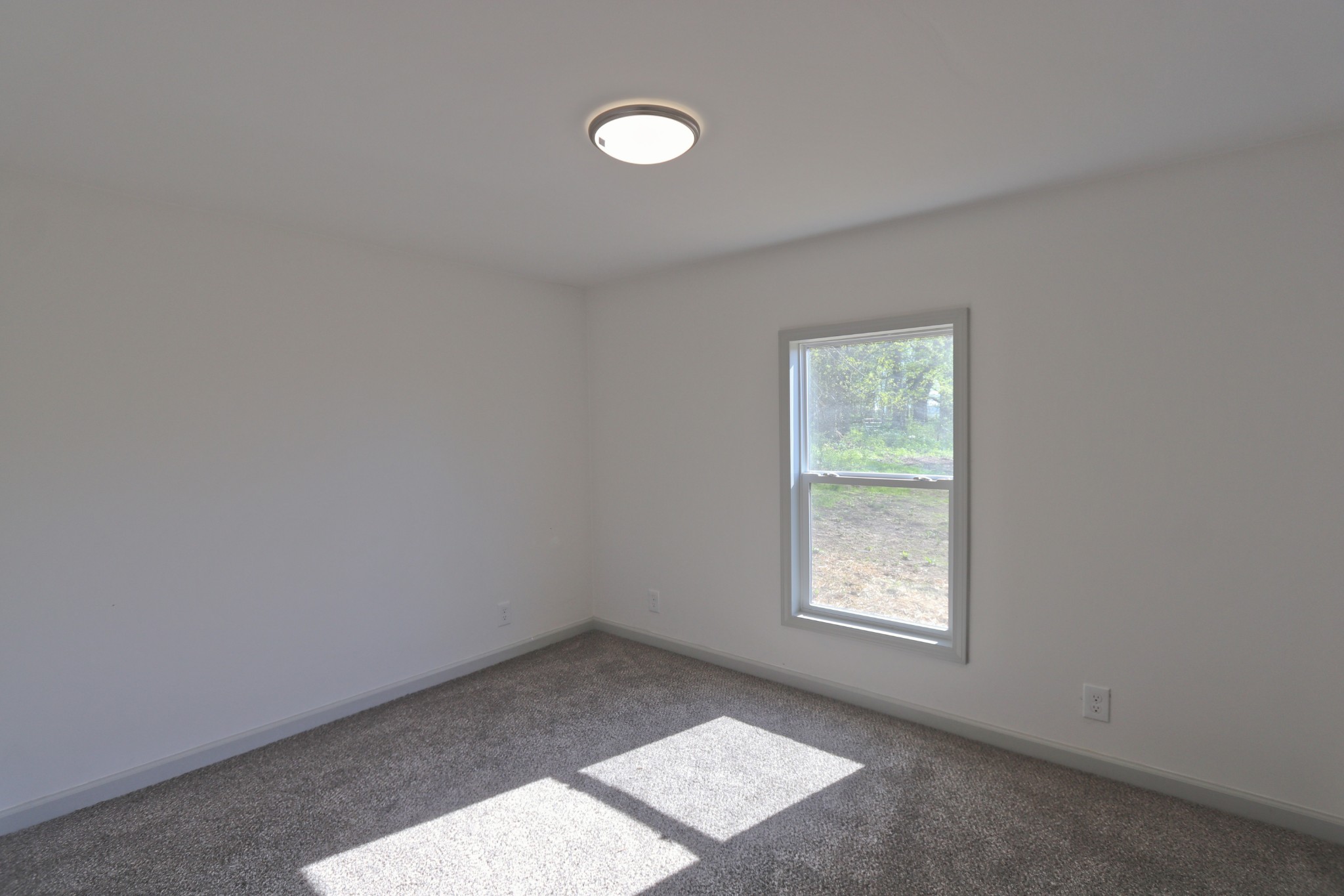 331 Whitefield Ln Property Photo 16