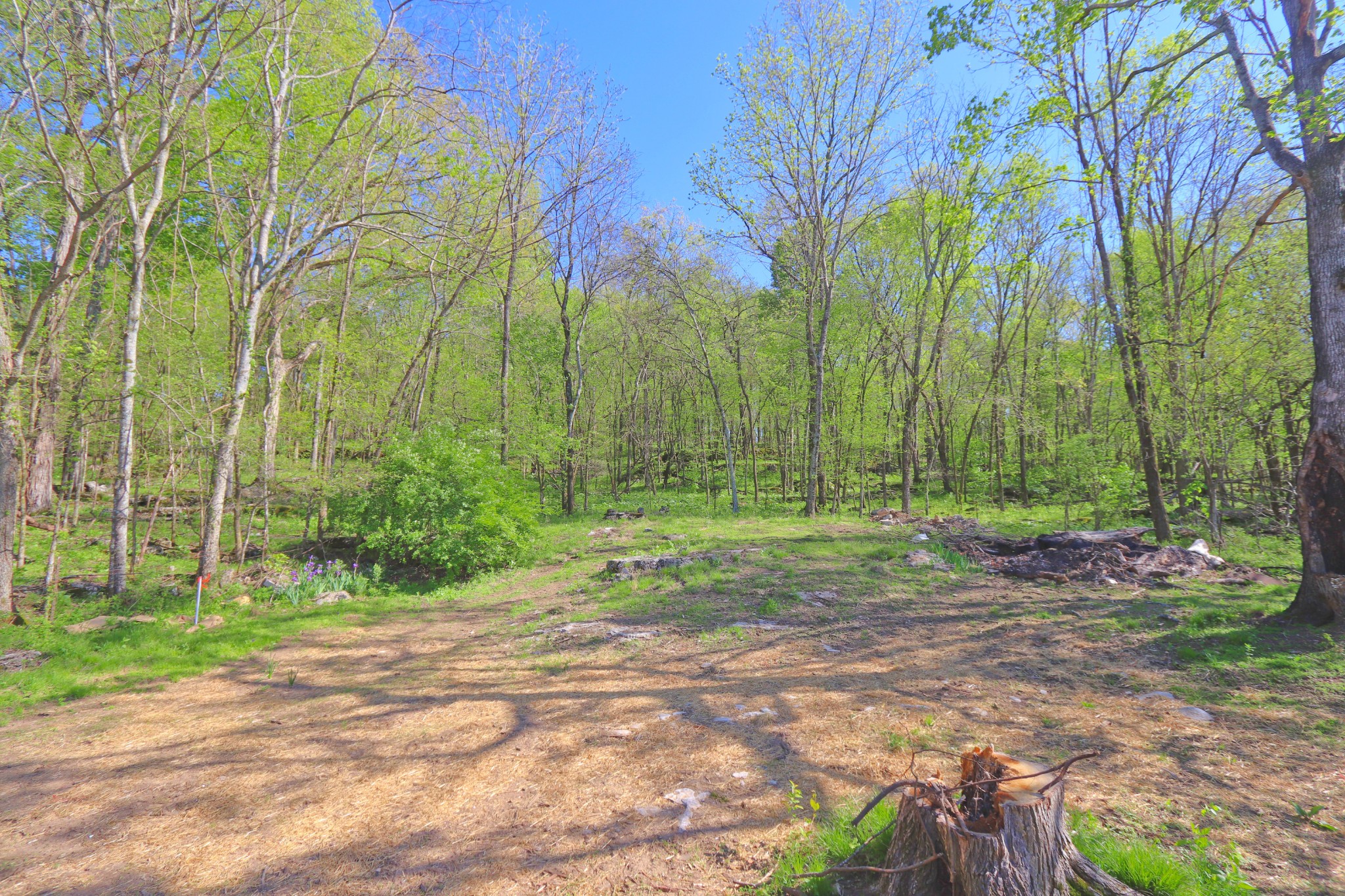 331 Whitefield Ln Property Photo 17