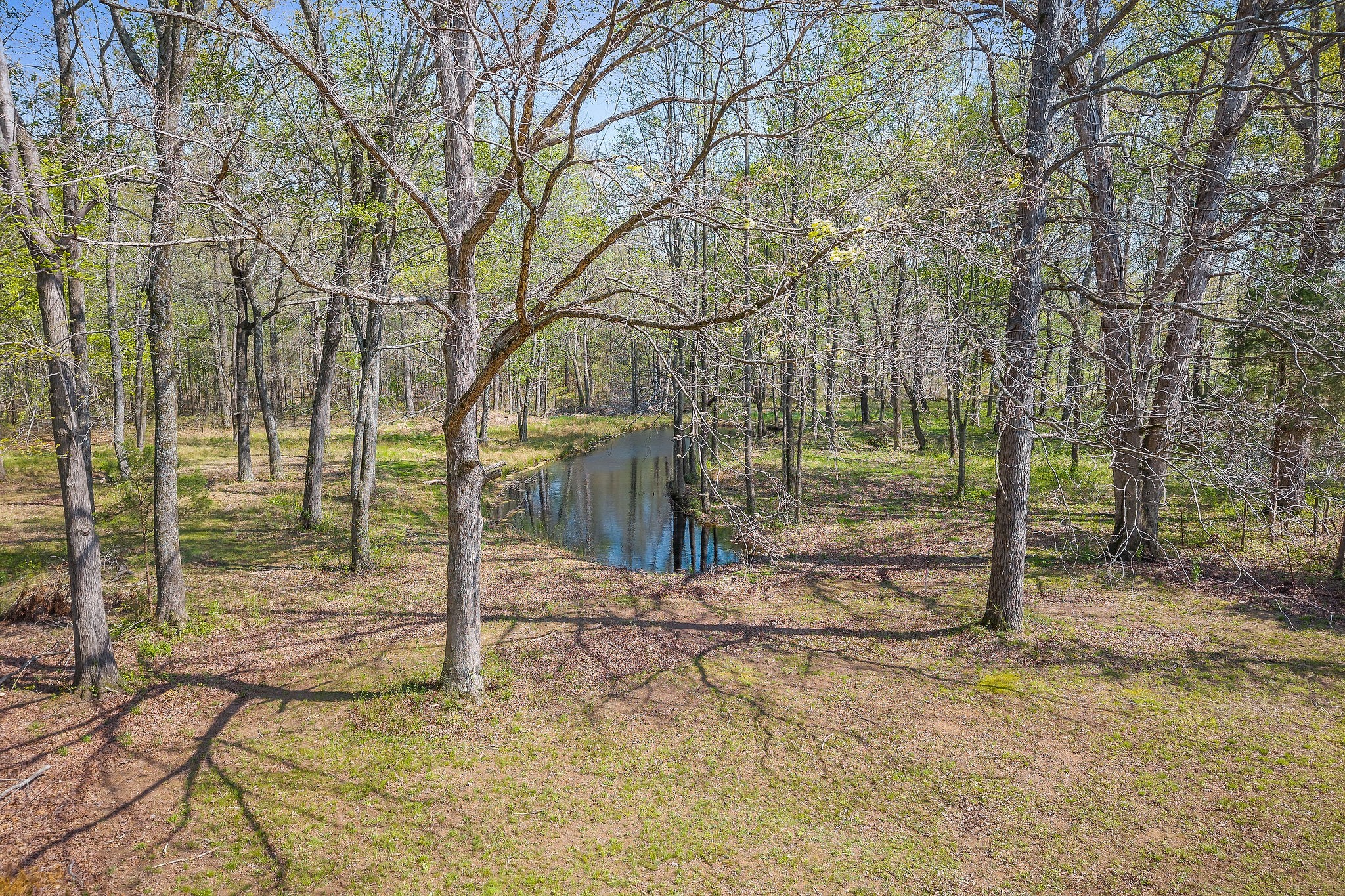 10157 Manchester Hwy Property Photo