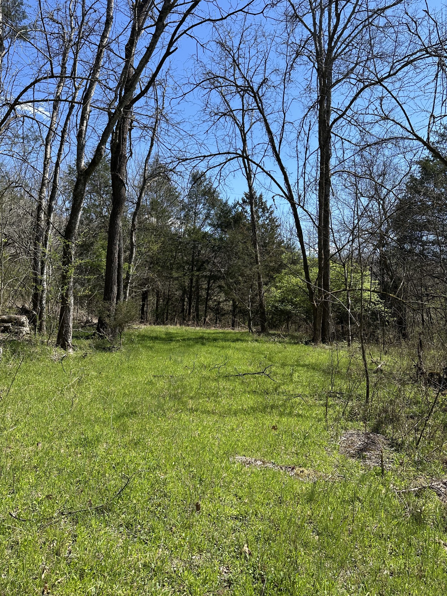 Elmwood Real Estate Listings Main Image