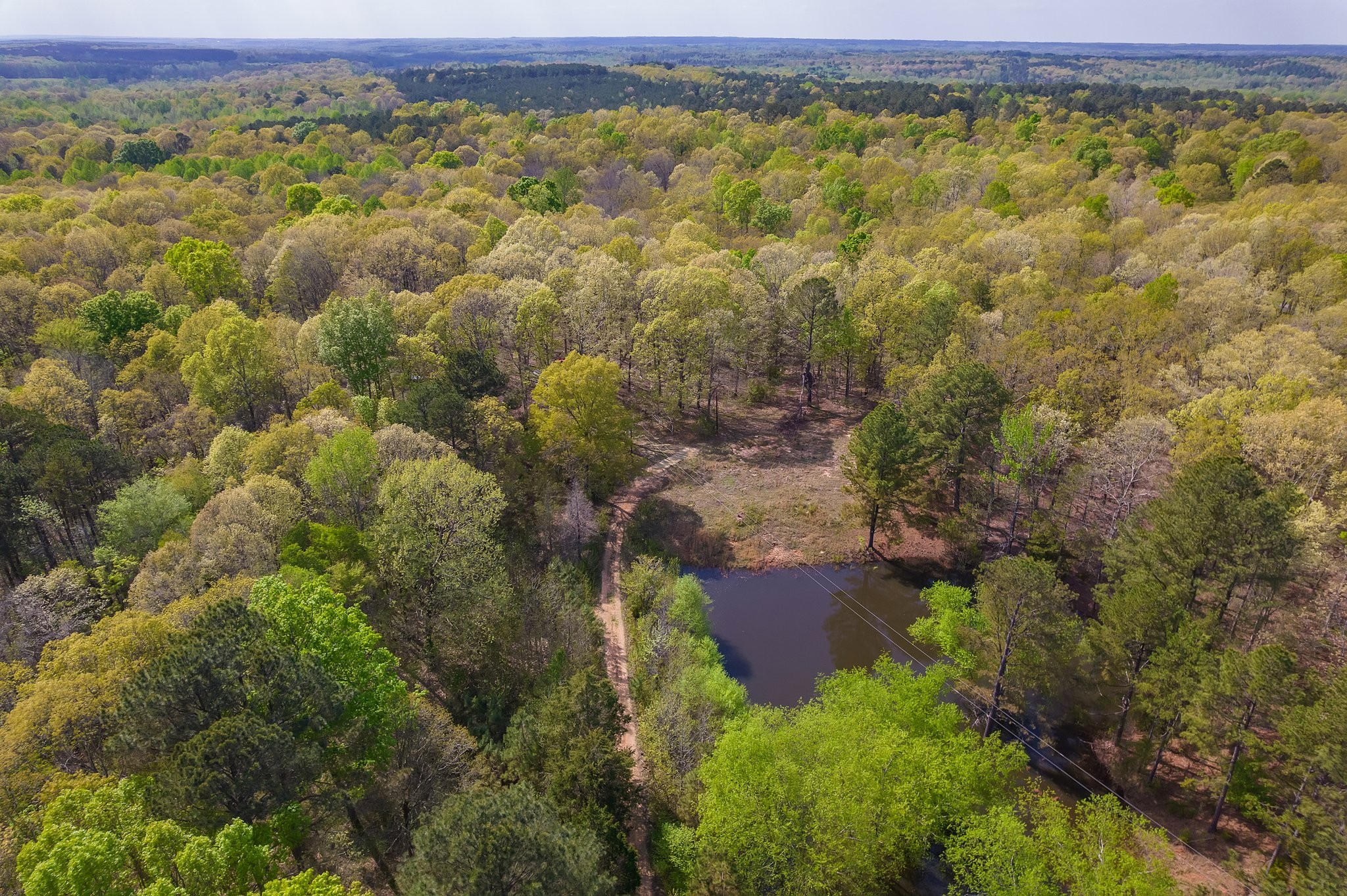 Medon Real Estate Listings Main Image
