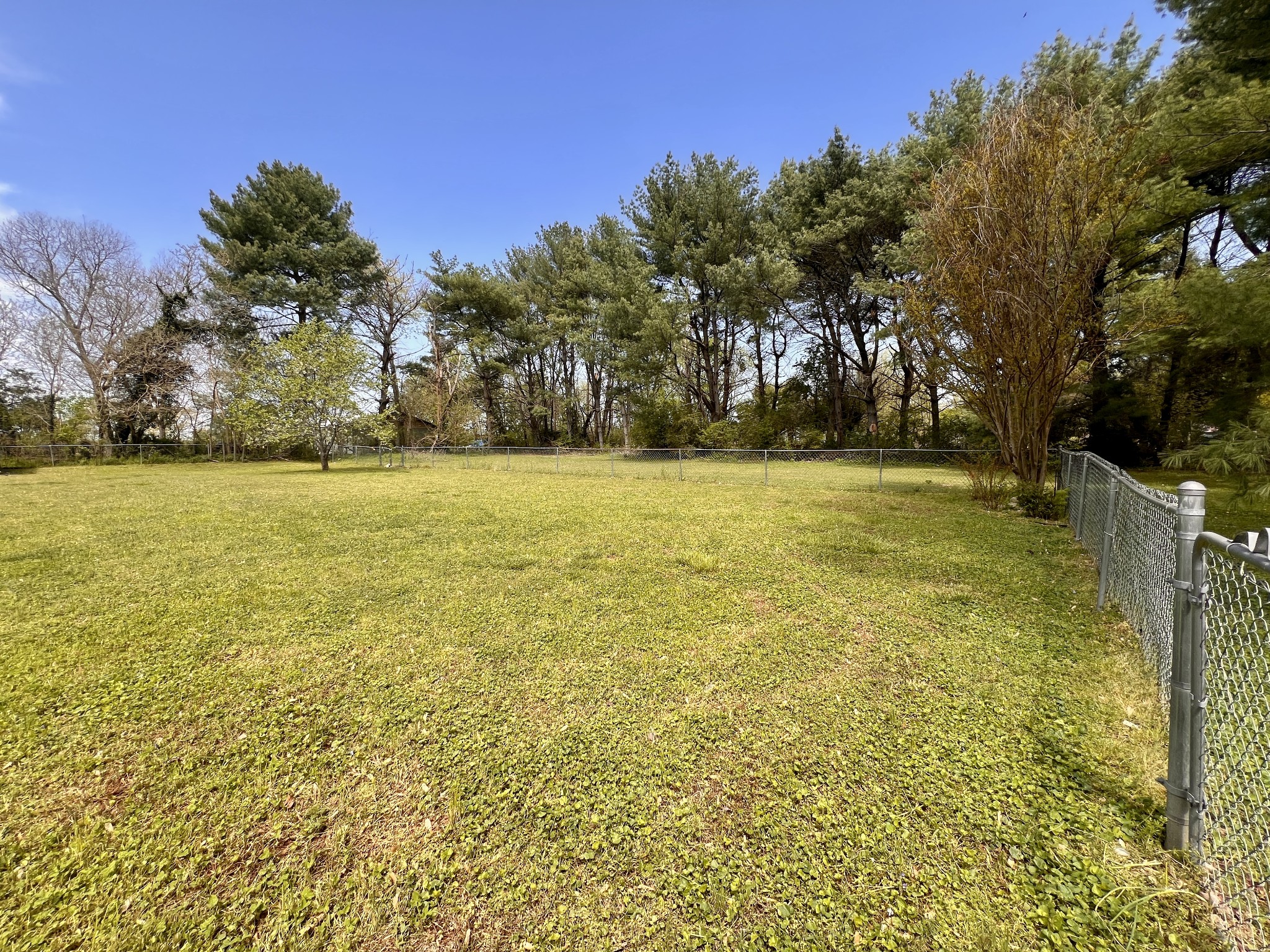 1112 Cumberland St Property Photo 37