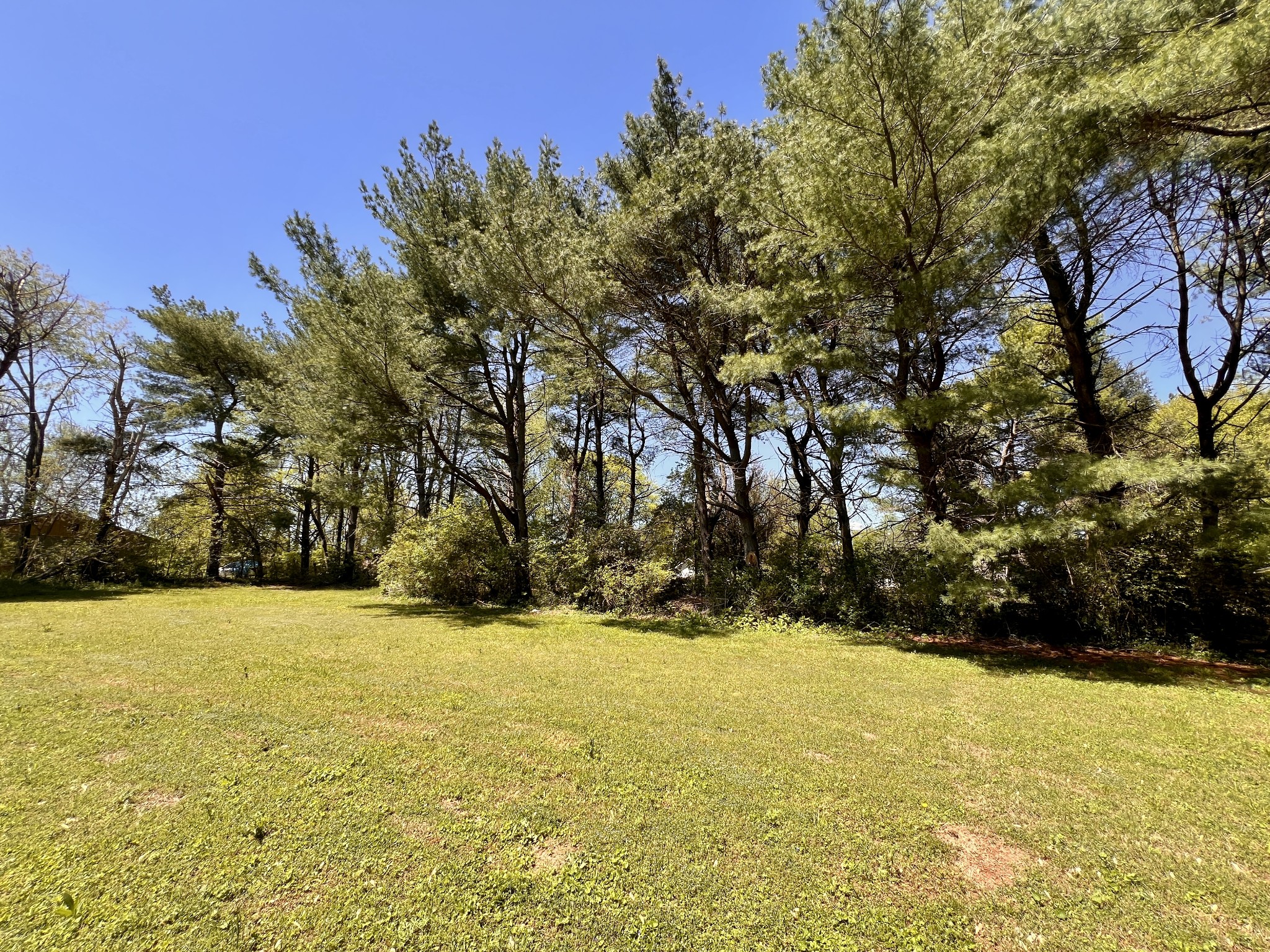1112 Cumberland St Property Photo 43