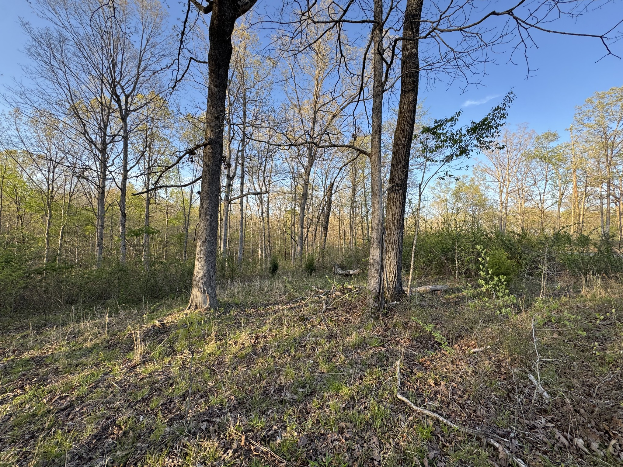 0 Ridgewood Drive Property Photo