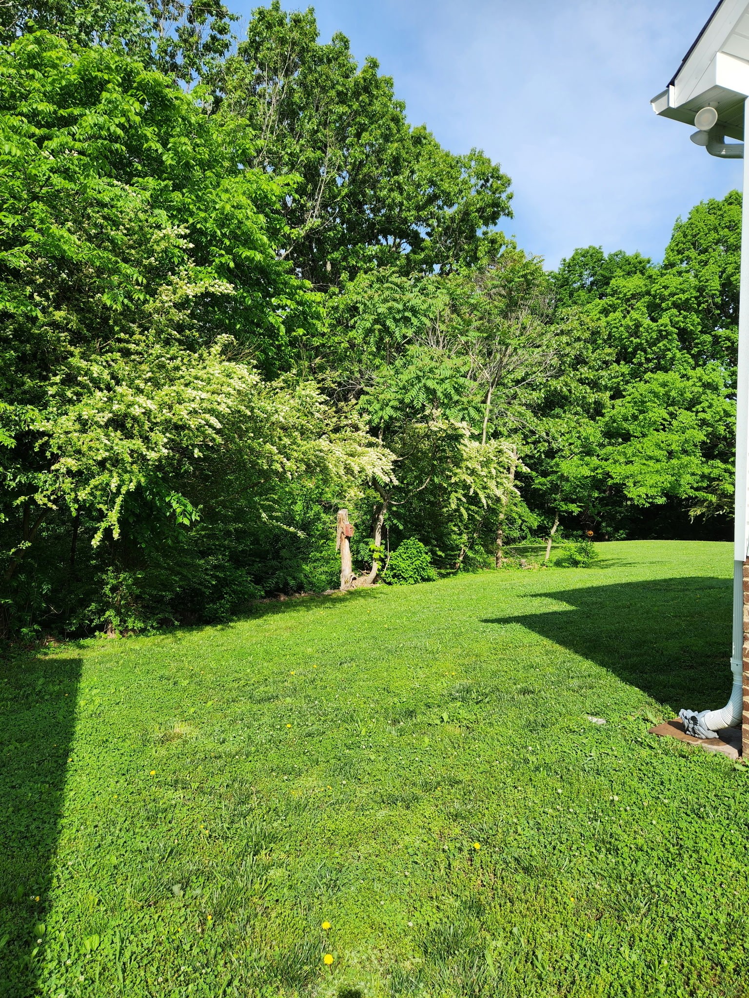 24 Roberts Ridge Rd Property Photo 8