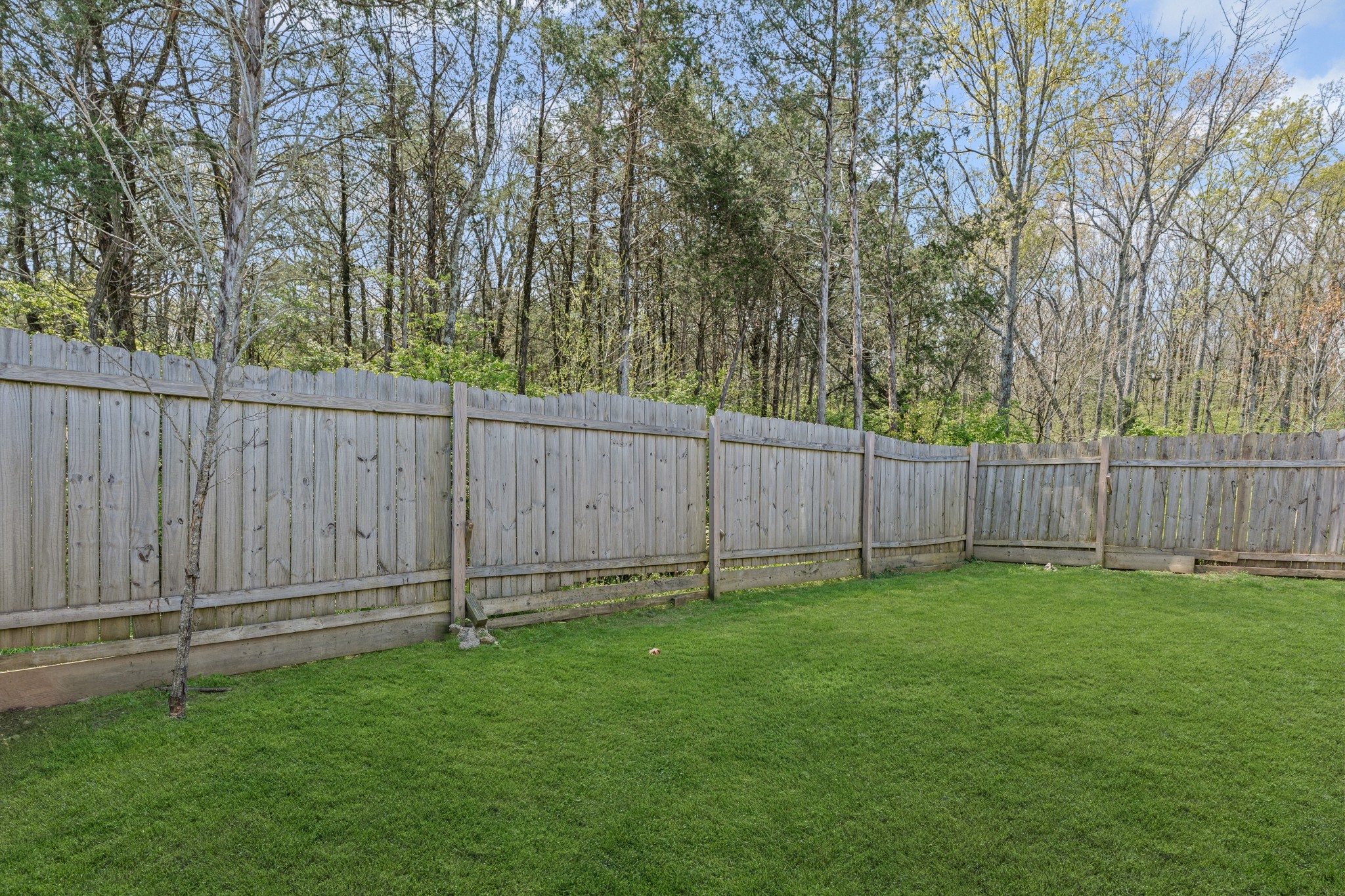 4100 Polk Forest Cir Property Photo 14