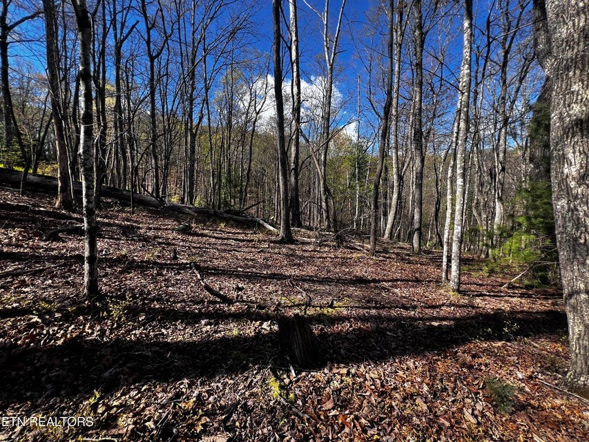 131 Pineridge Loop Property Photo