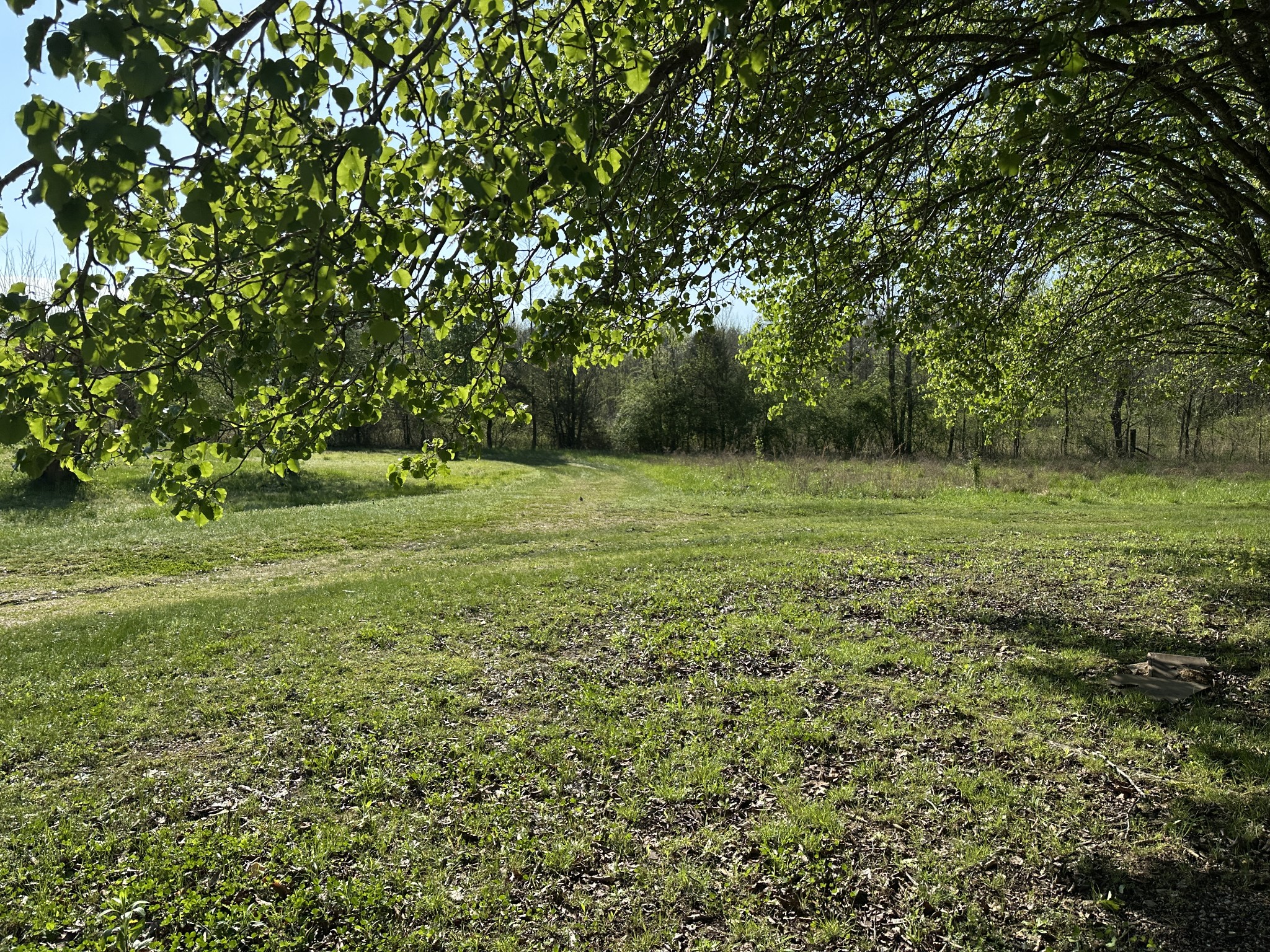 9840 Highway 641, S Property Photo 12