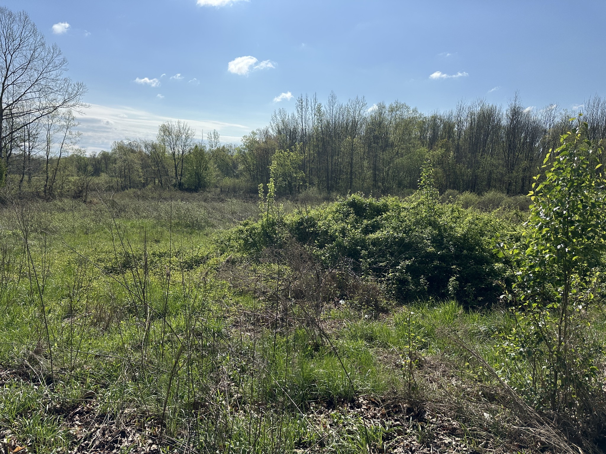 9840 Highway 641, S Property Photo 15