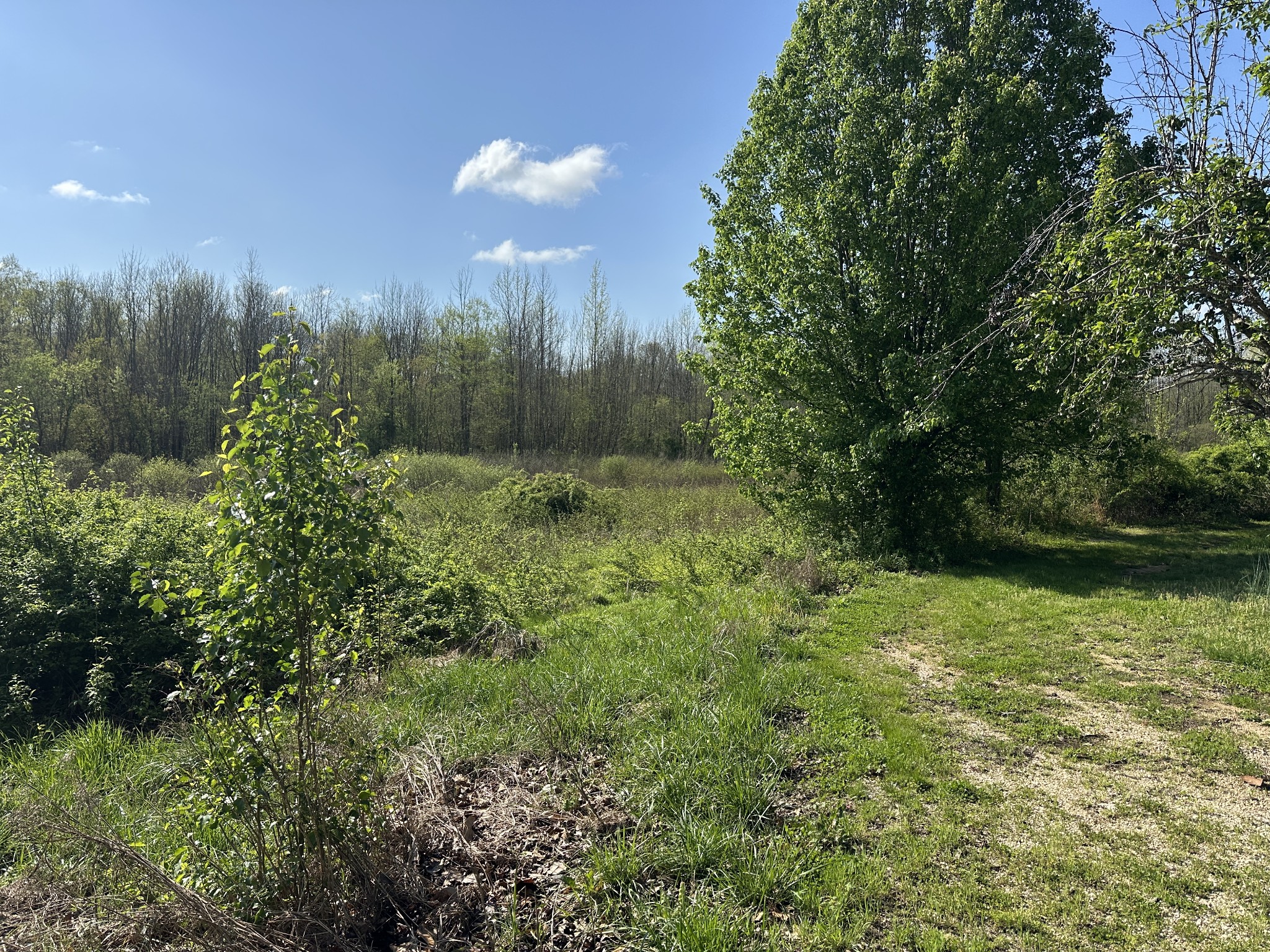 9840 Highway 641, S Property Photo 16