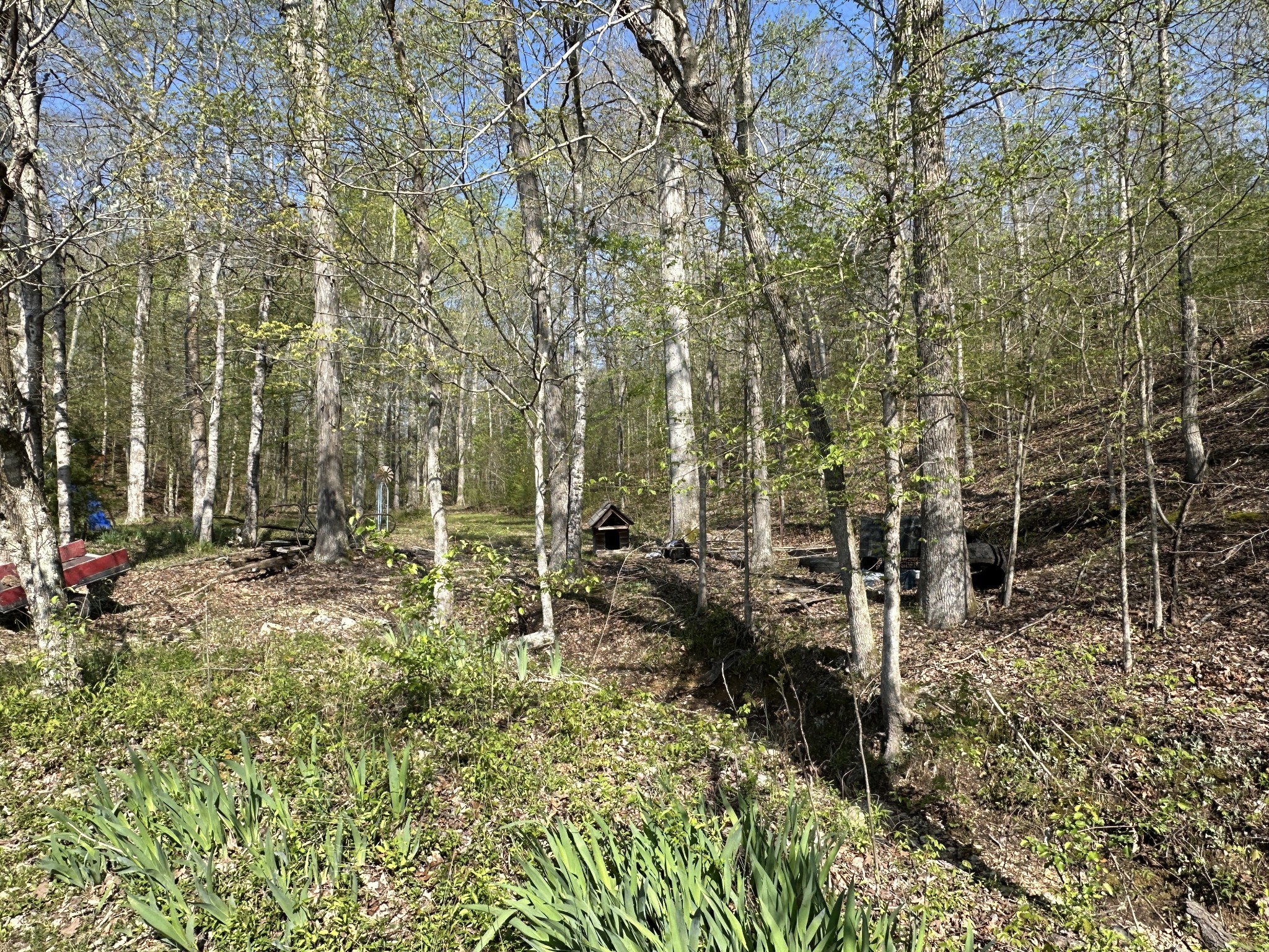 9840 Highway 641, S Property Photo 18