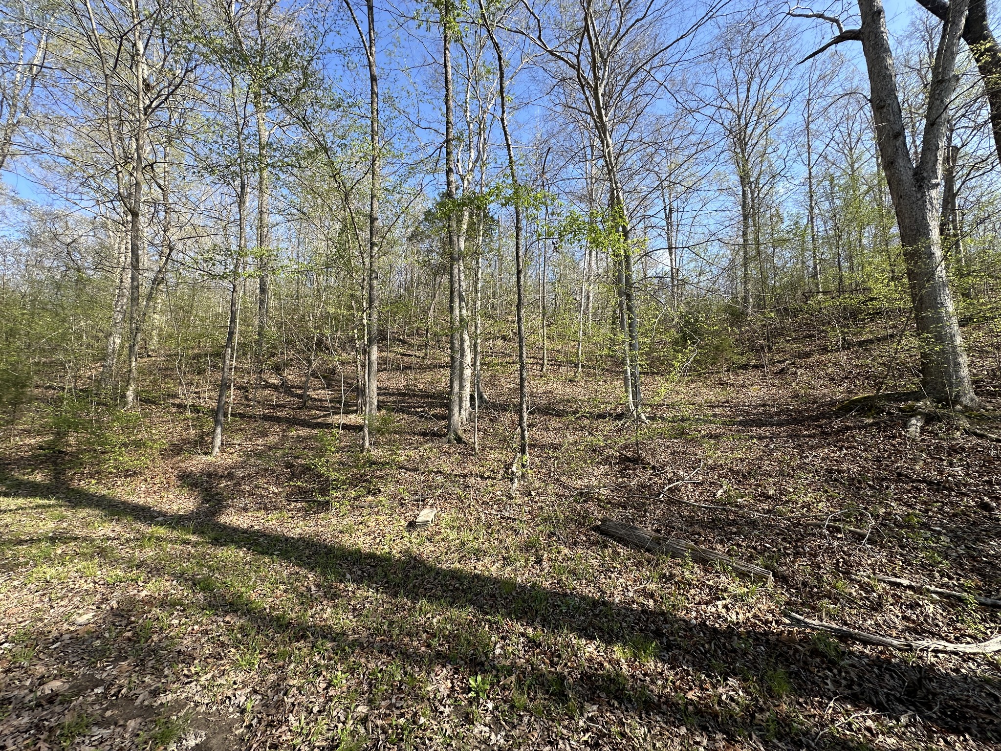9840 Highway 641, S Property Photo 19