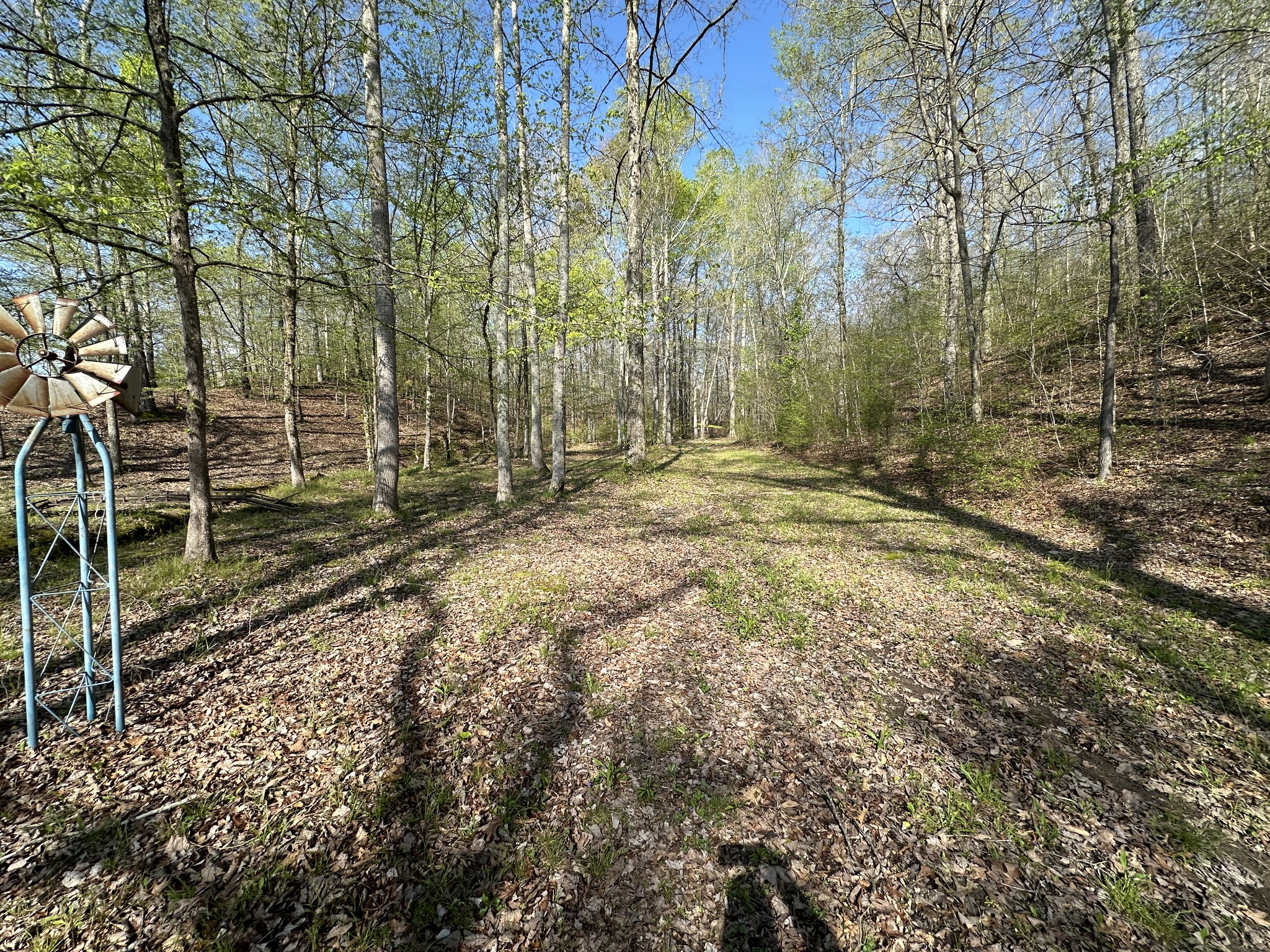 9840 Highway 641, S Property Photo 20