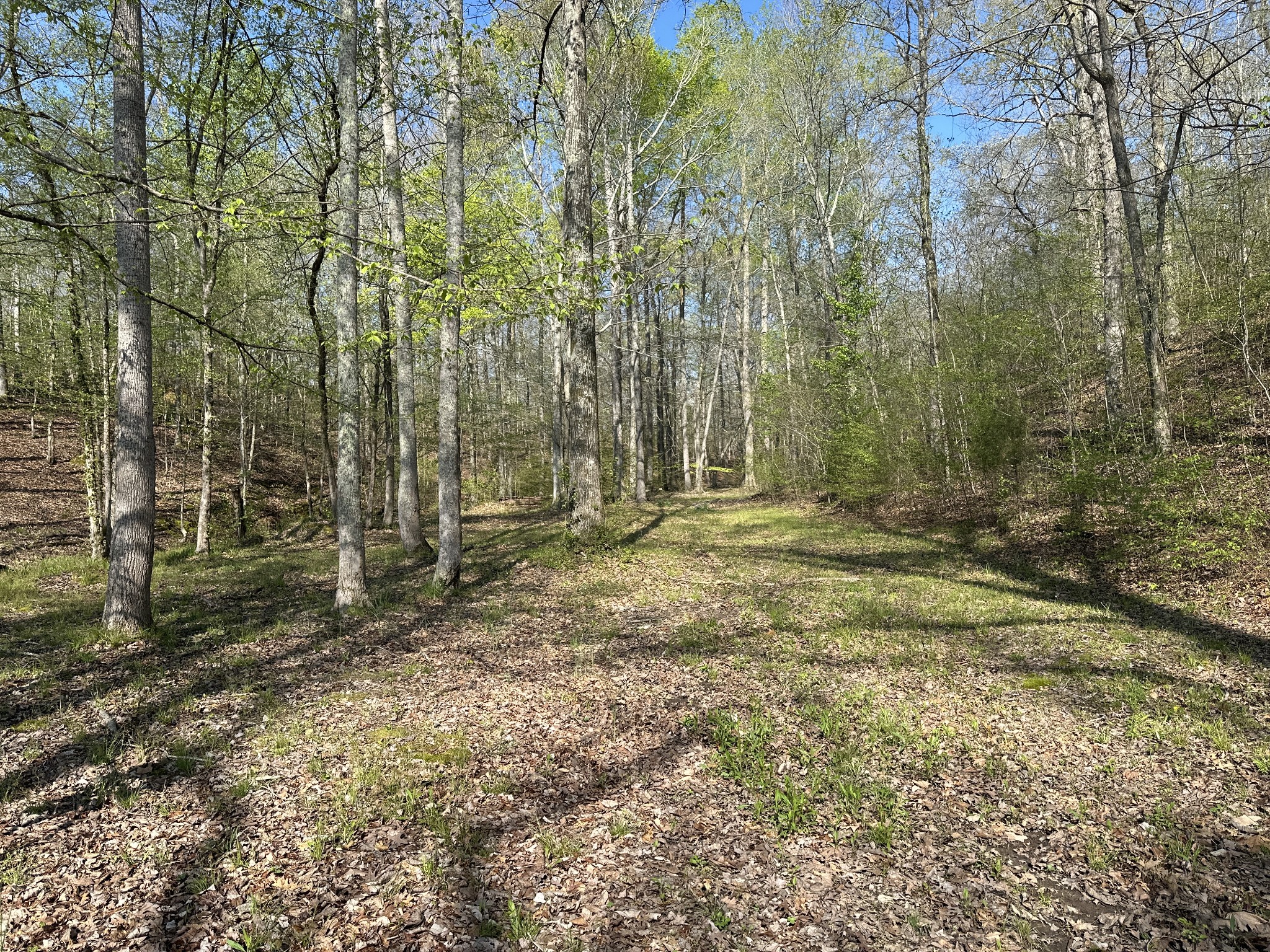 9840 Highway 641, S Property Photo 21
