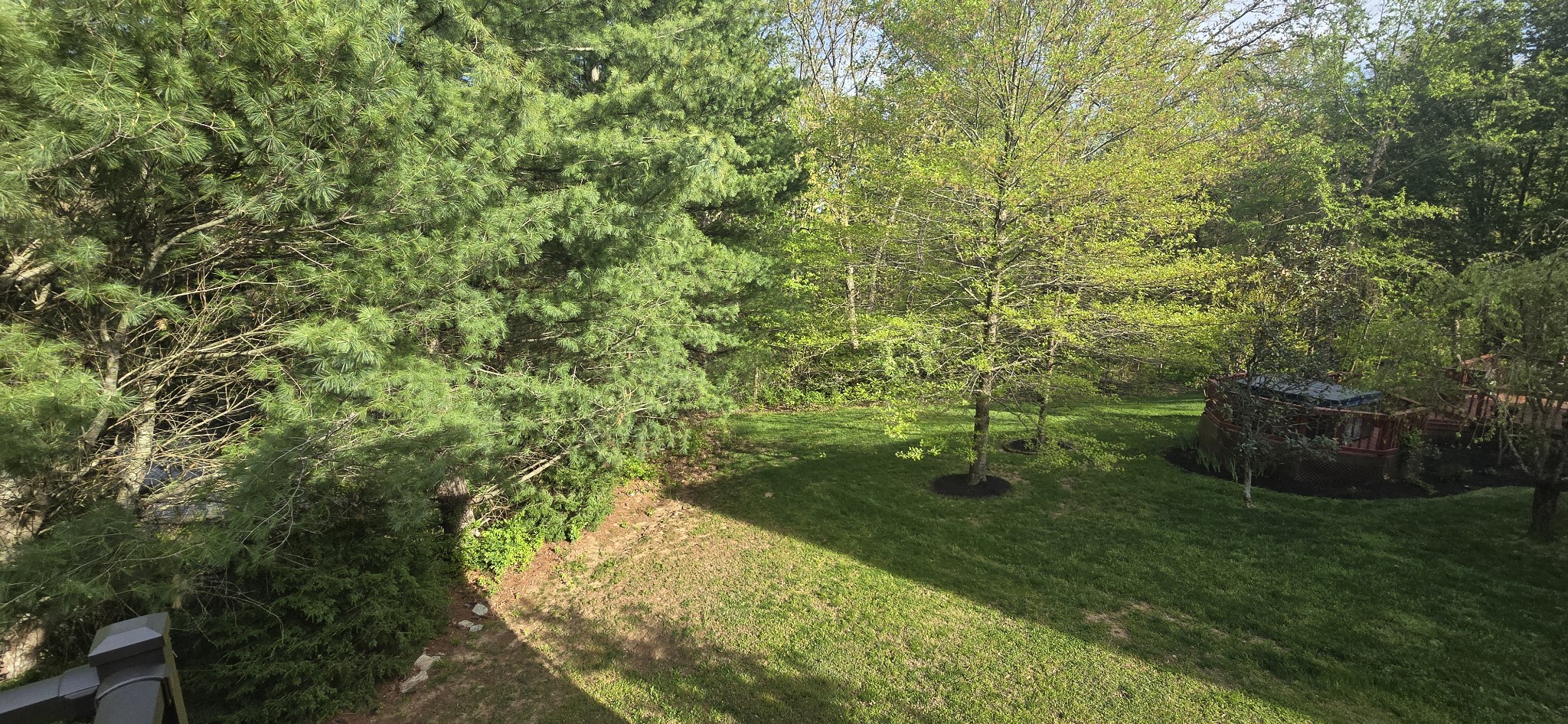 1813 Woodland Pointe Dr Property Photo 39