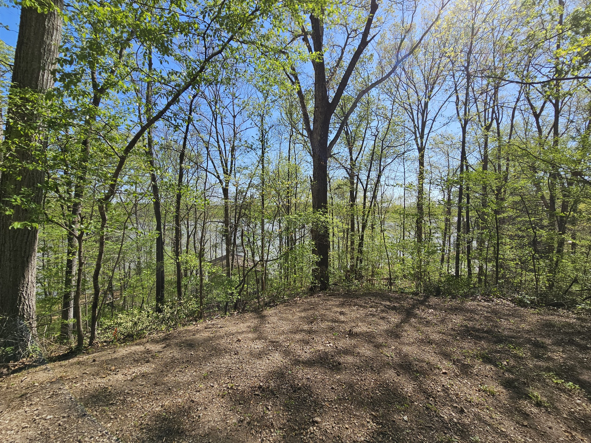 50 Deaton Ln Property Photo 13