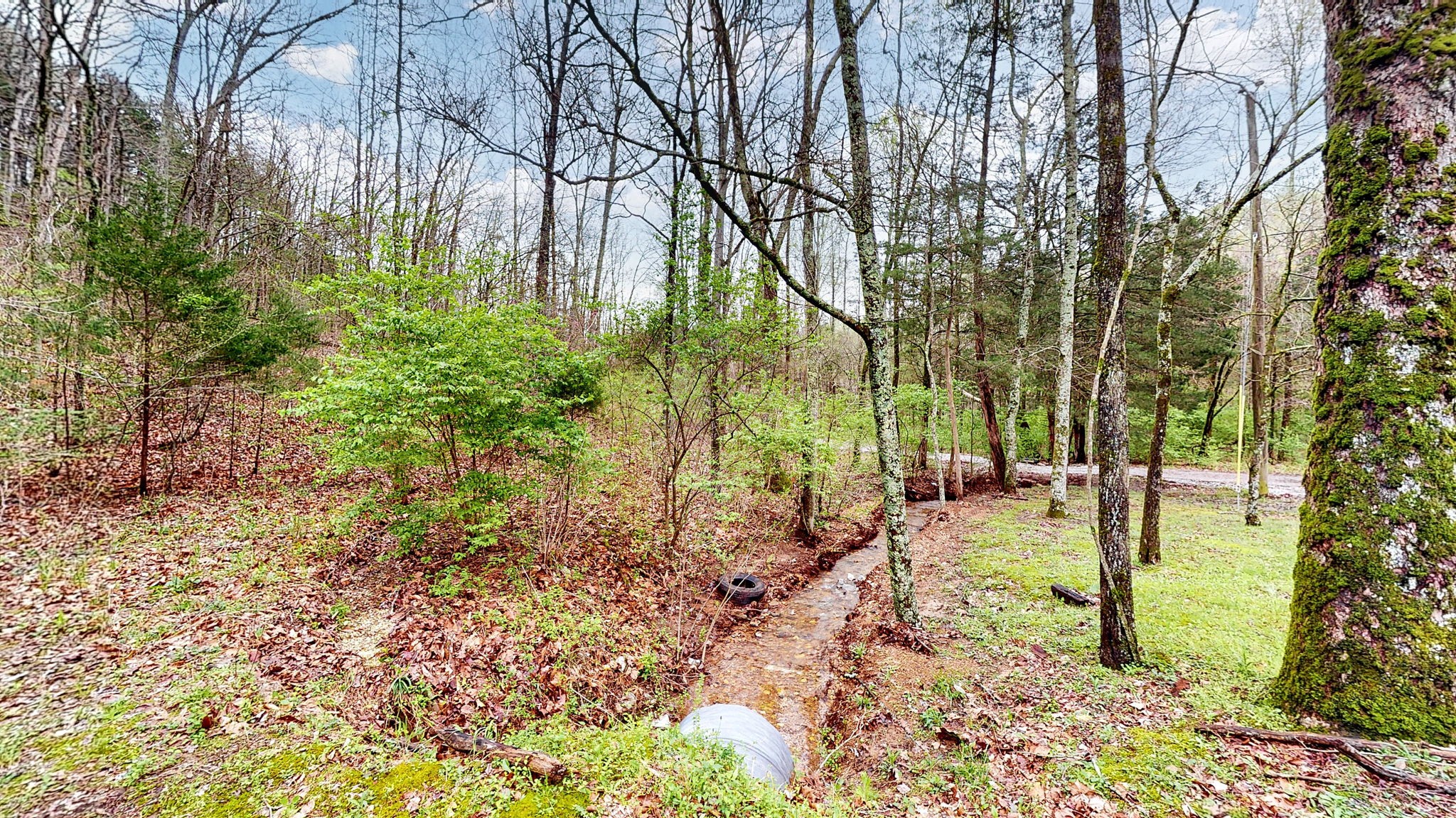 4608 Dry Fork Rd Property Photo 6