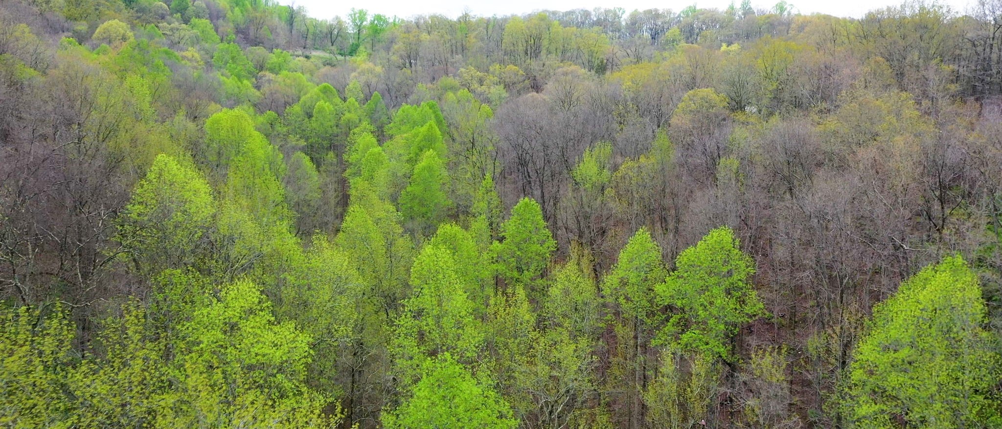 4608 Dry Fork Rd Property Photo 9