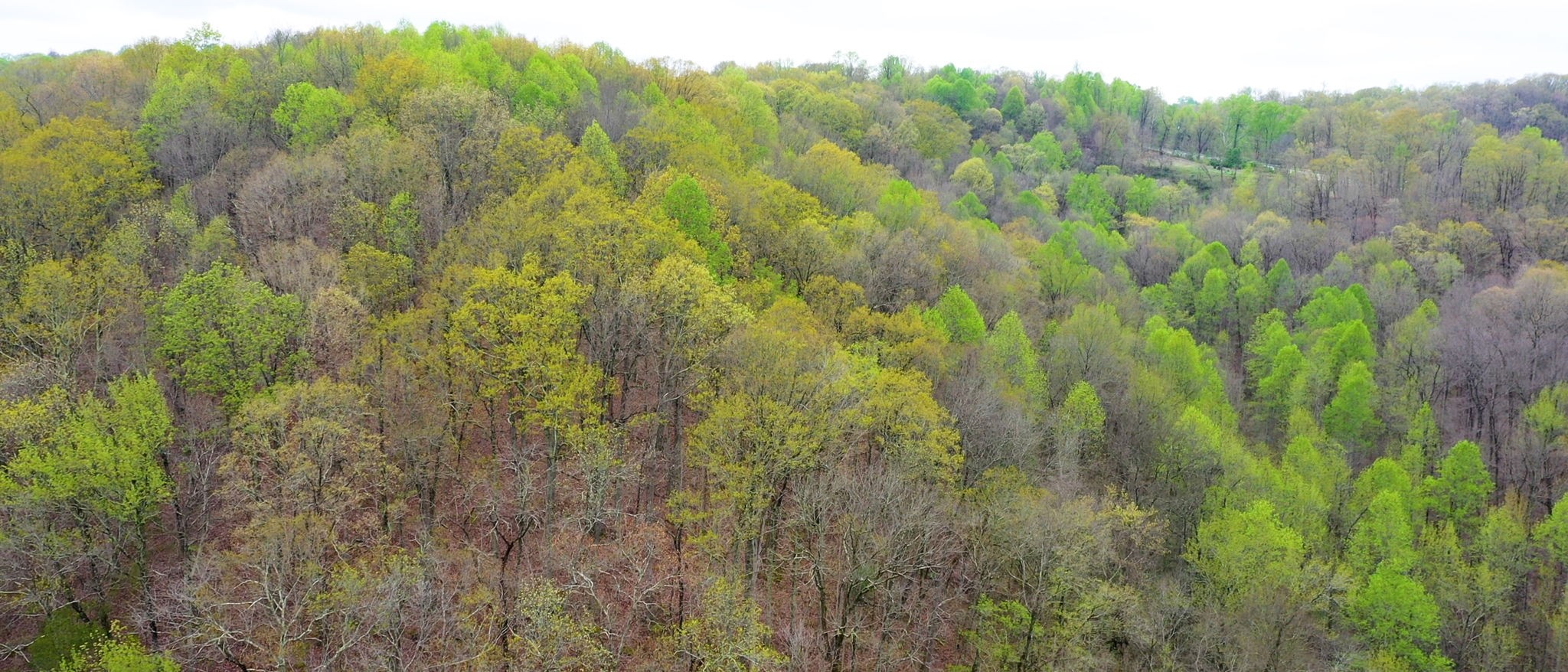 4608 Dry Fork Rd Property Photo 11