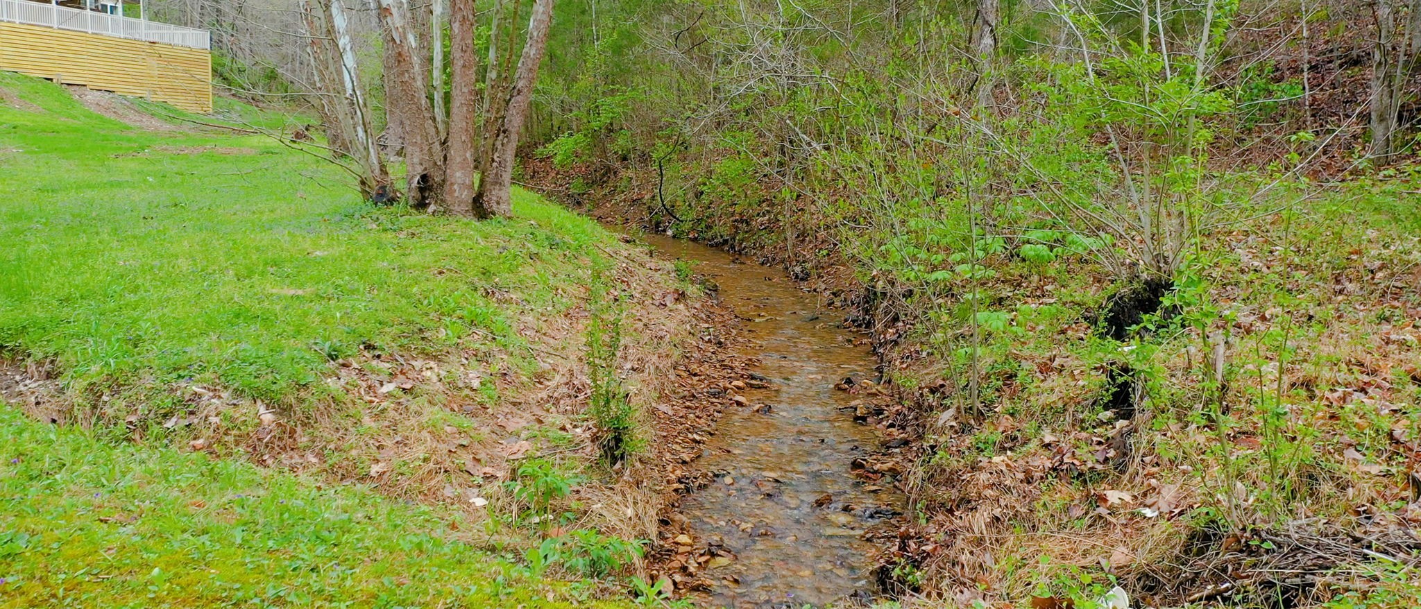 4608 Dry Fork Rd Property Photo 14