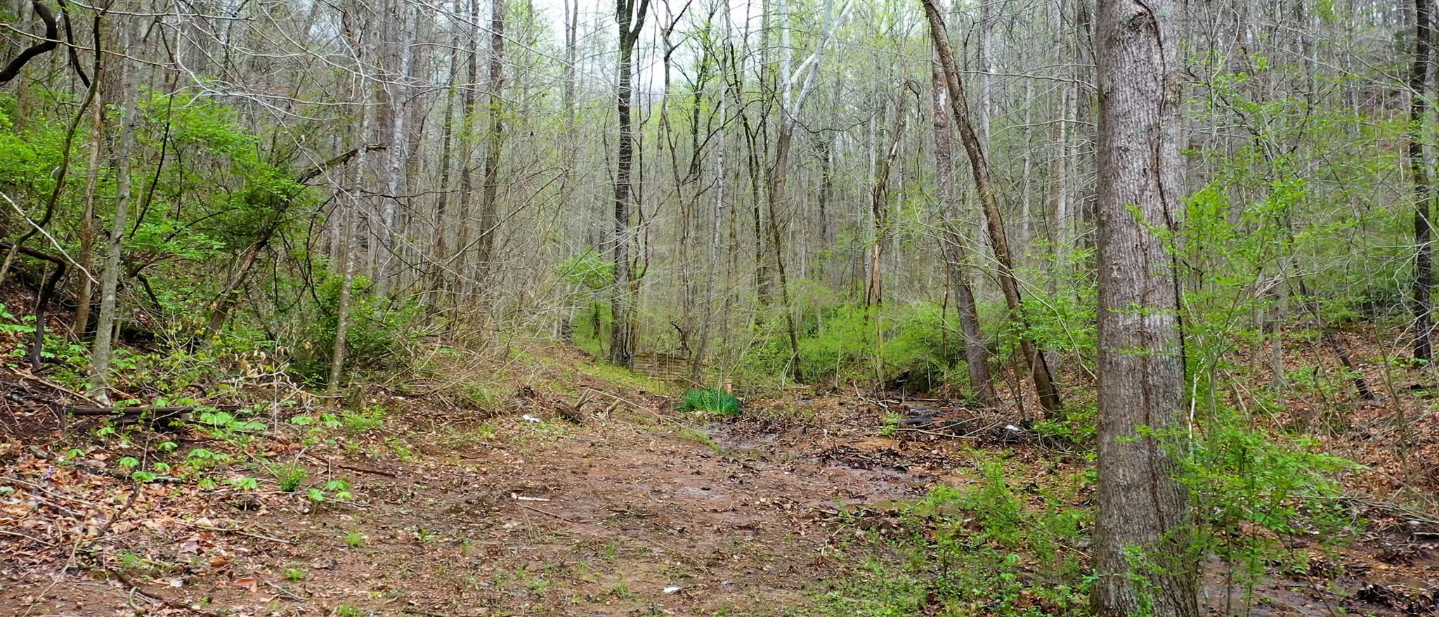 4608 Dry Fork Rd Property Photo 15