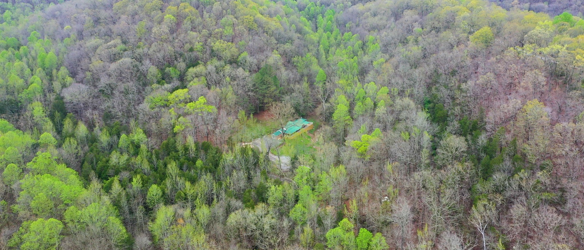 4608 Dry Fork Rd Property Photo 16