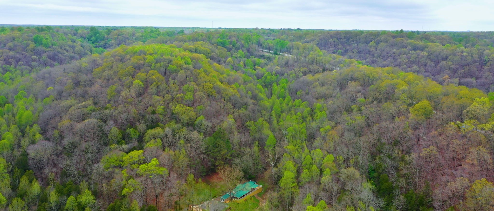 4608 Dry Fork Rd Property Photo 17