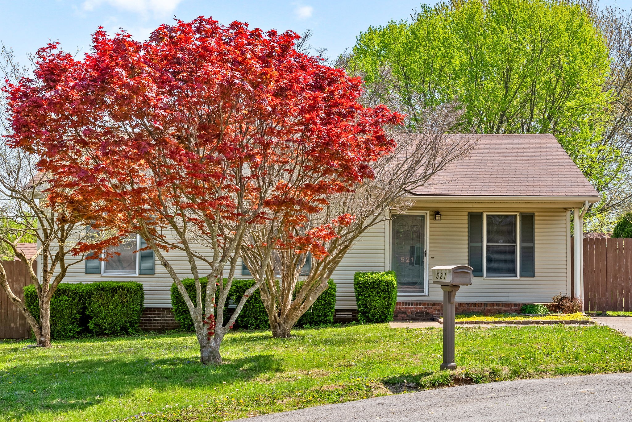 521 Gray Fox Ct Property Photo 1