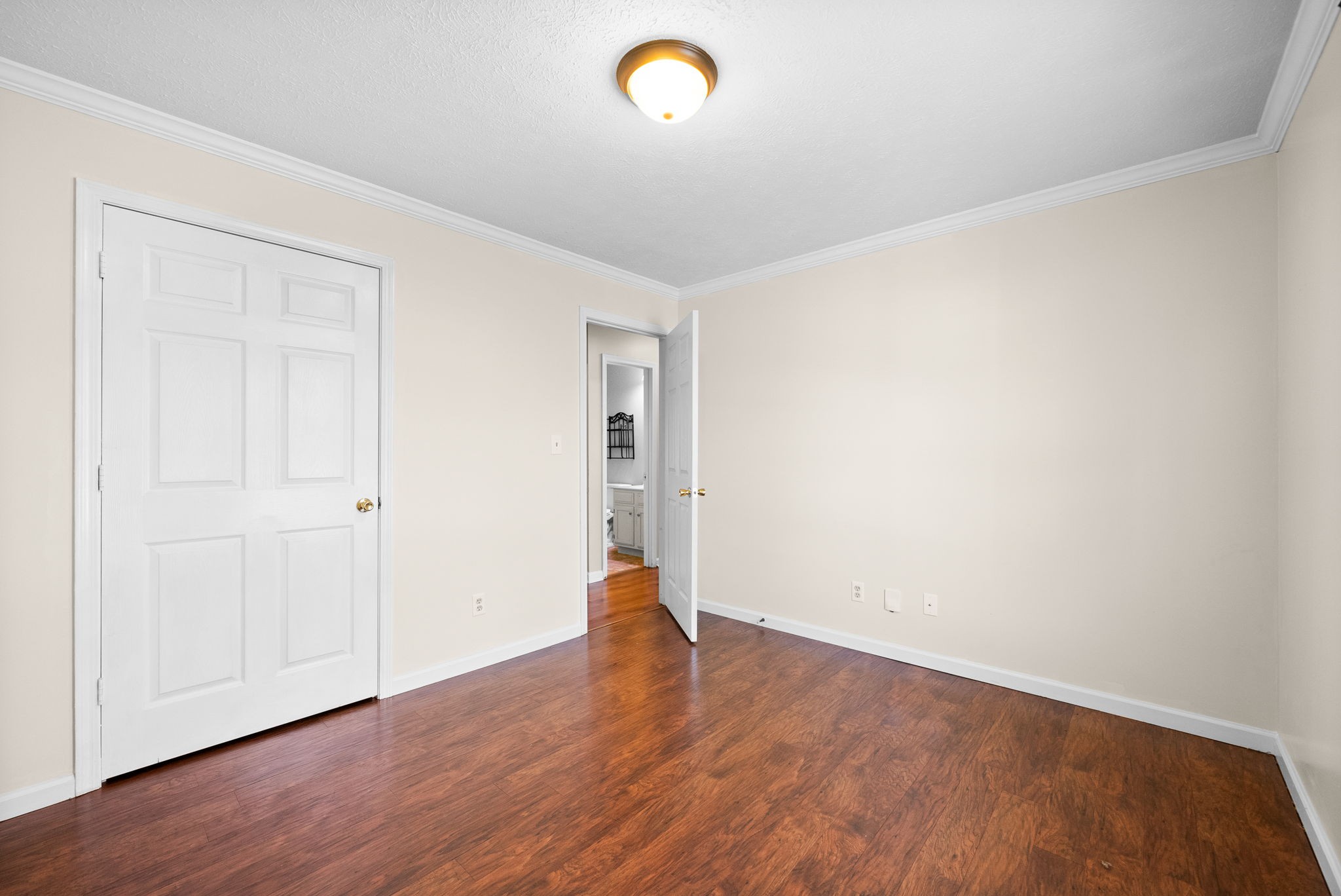 521 Gray Fox Ct Property Photo 22