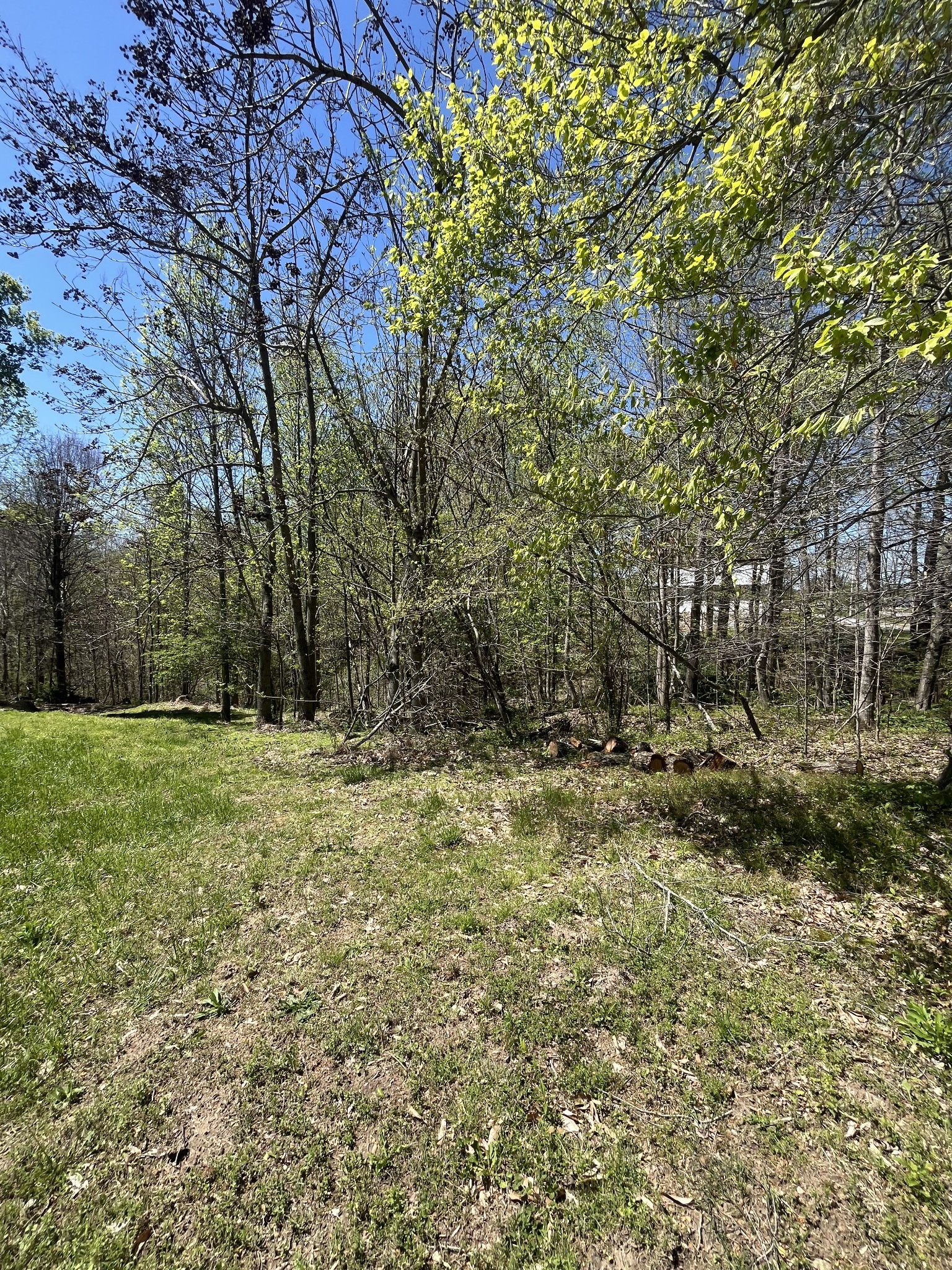 166 Mount Vernon Church Rd Property Photo 7