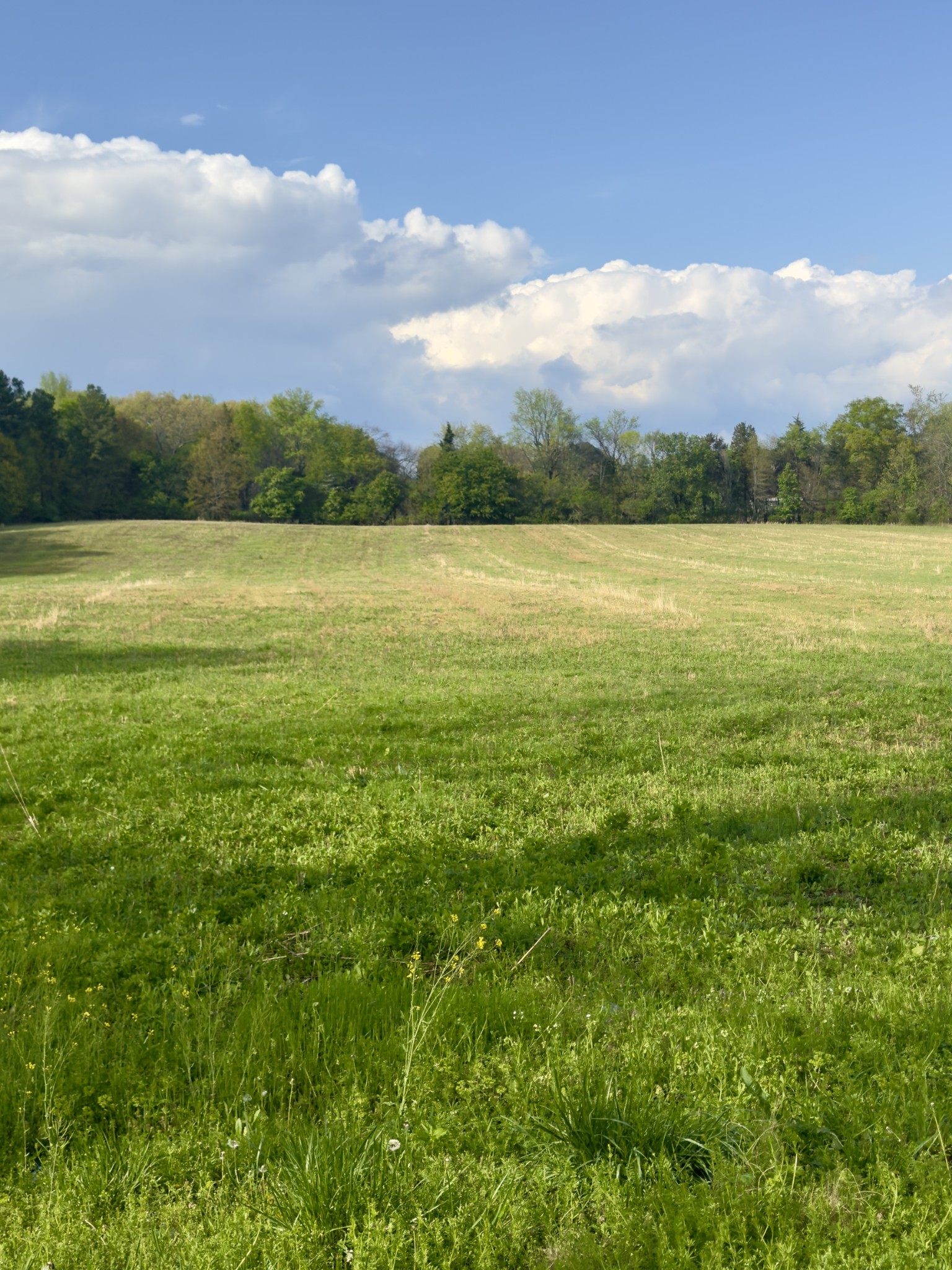 0 Aedc Lakeview Rd Property Photo