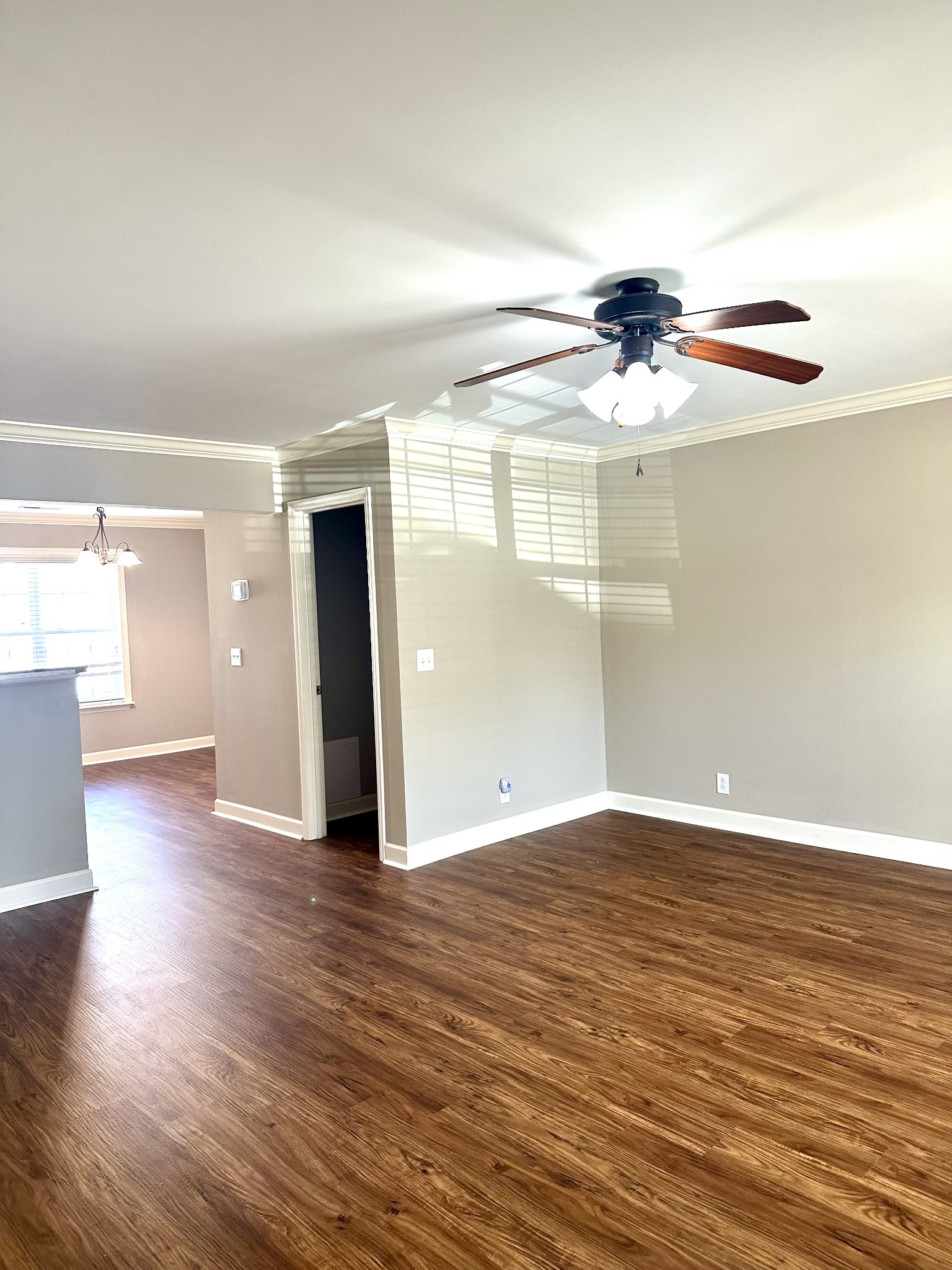 4257 Aurora Cir Property Photo 6