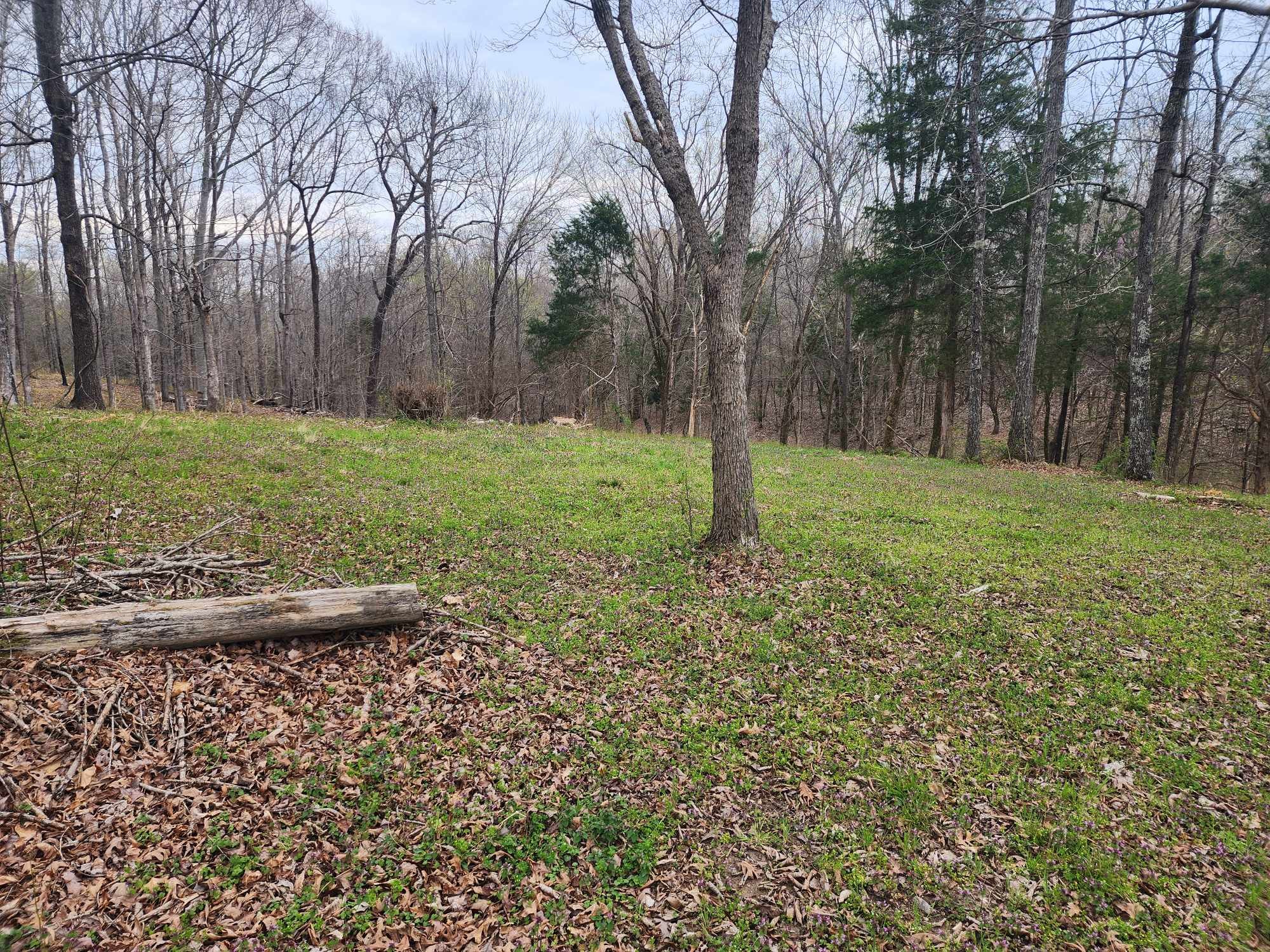 0 Gossett Rd Property Photo