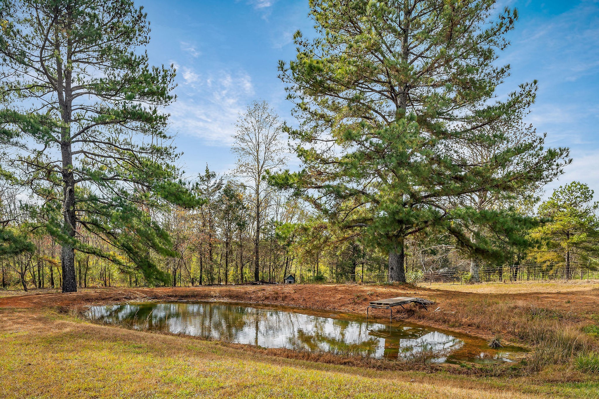 1925 Ike Adcock Rd Property Photo 29