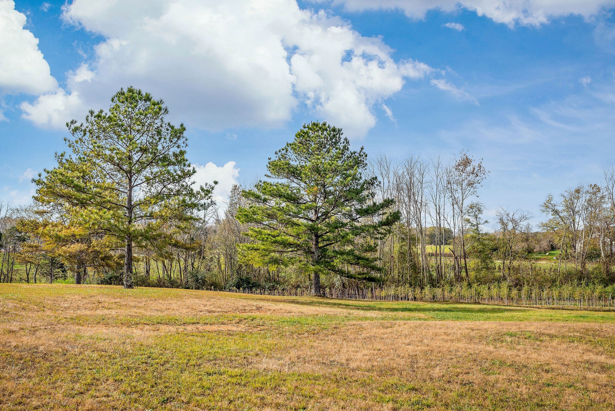 1925 Ike Adcock Rd Property Photo 30