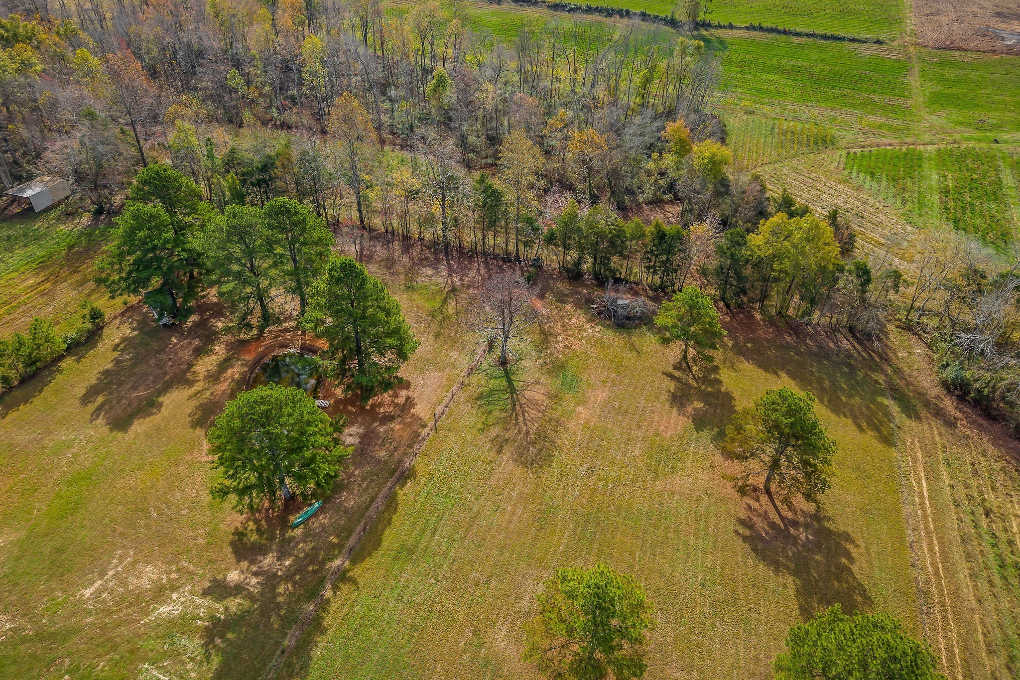 1925 Ike Adcock Rd Property Photo 42